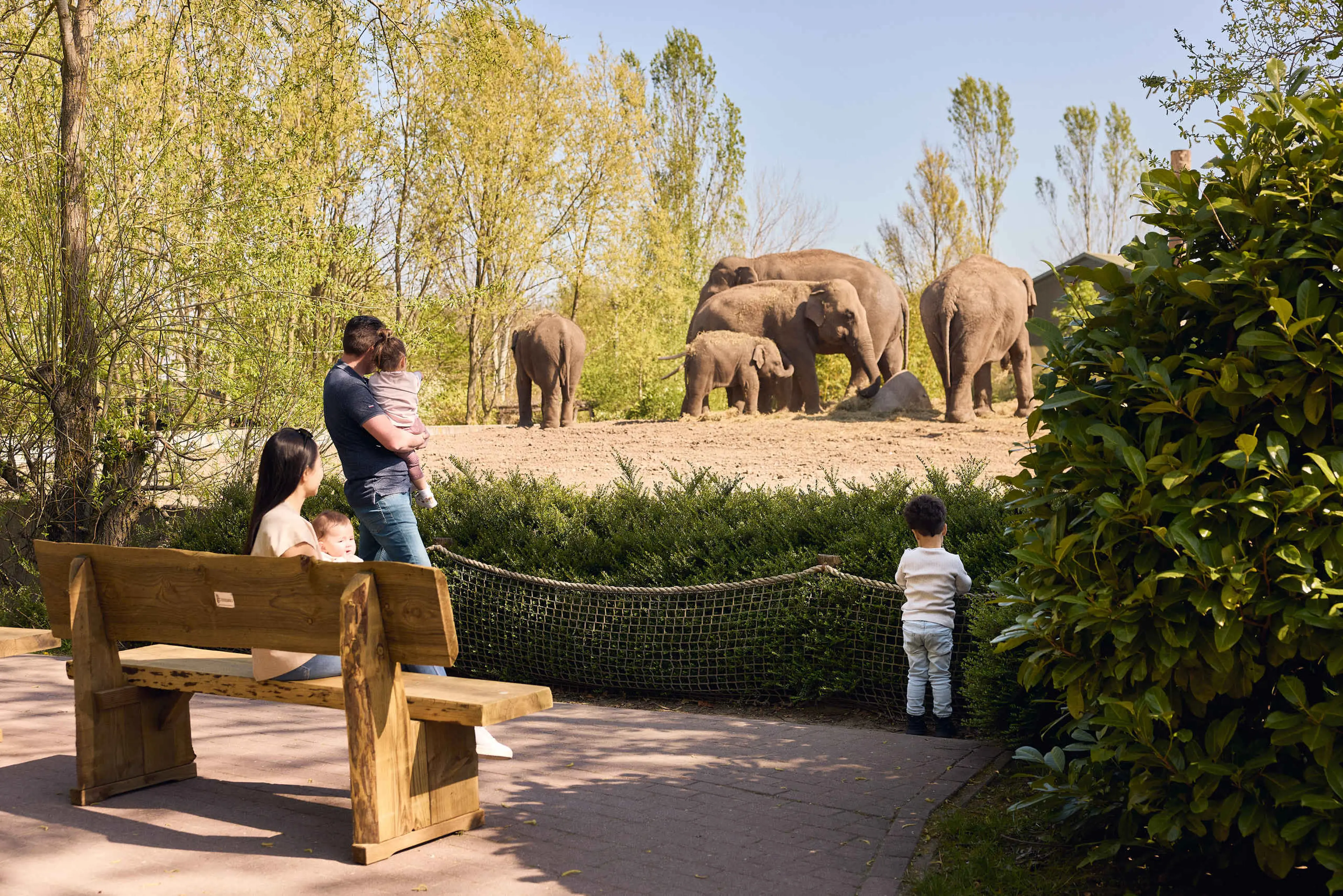 Gezin zit op een bankje bij de olifanten in Eindhoven Zoo