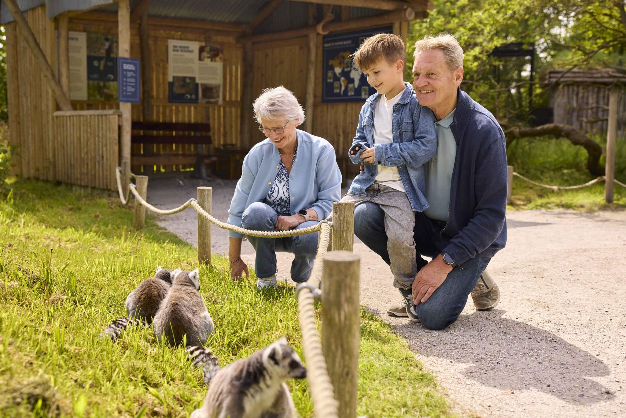Opa en oma met kleinzoon bij ringstaartmaki in AquaZoo Leeuwarden