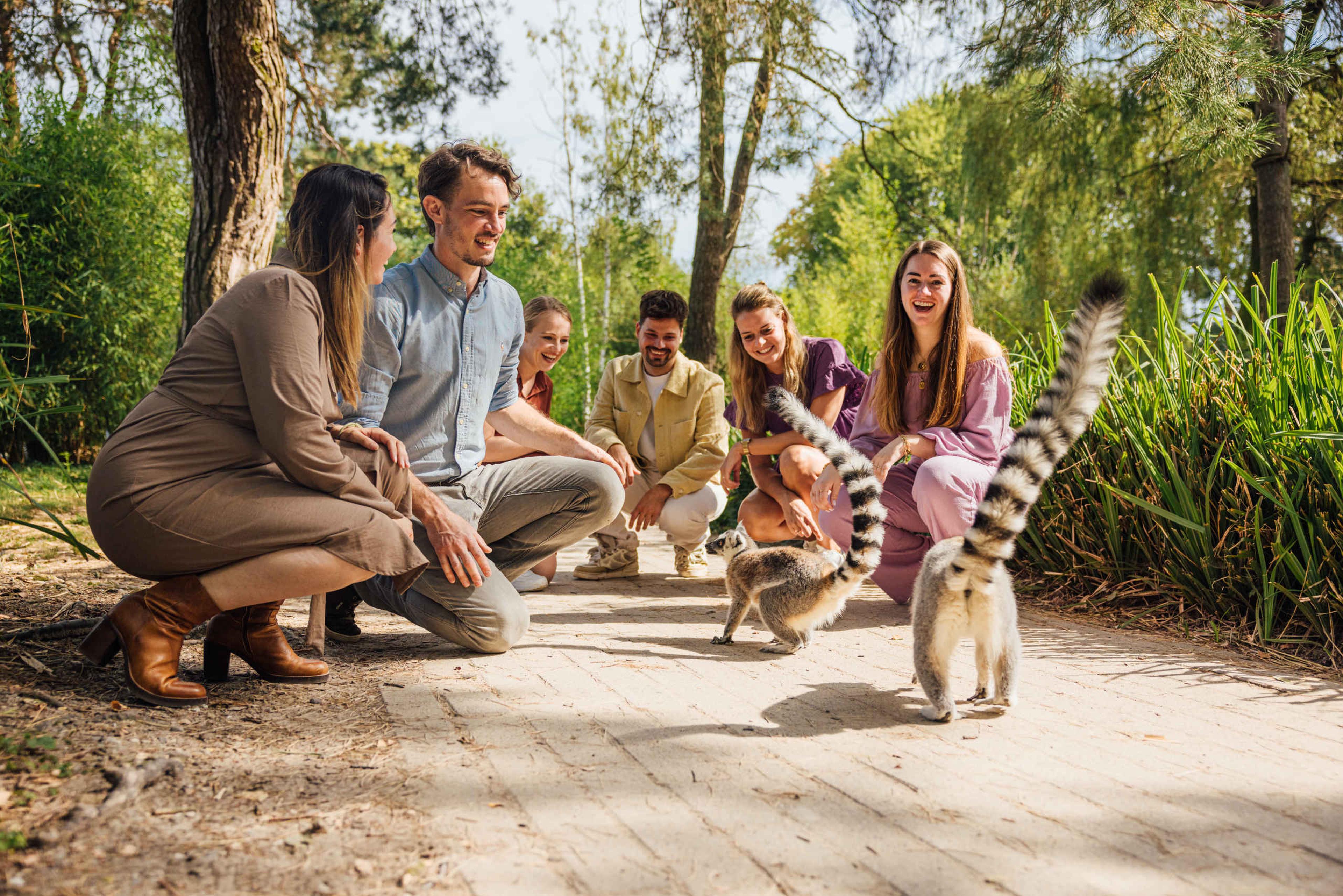 Vriendengroep op groepsuitje in Safaripark Beekse Bergen