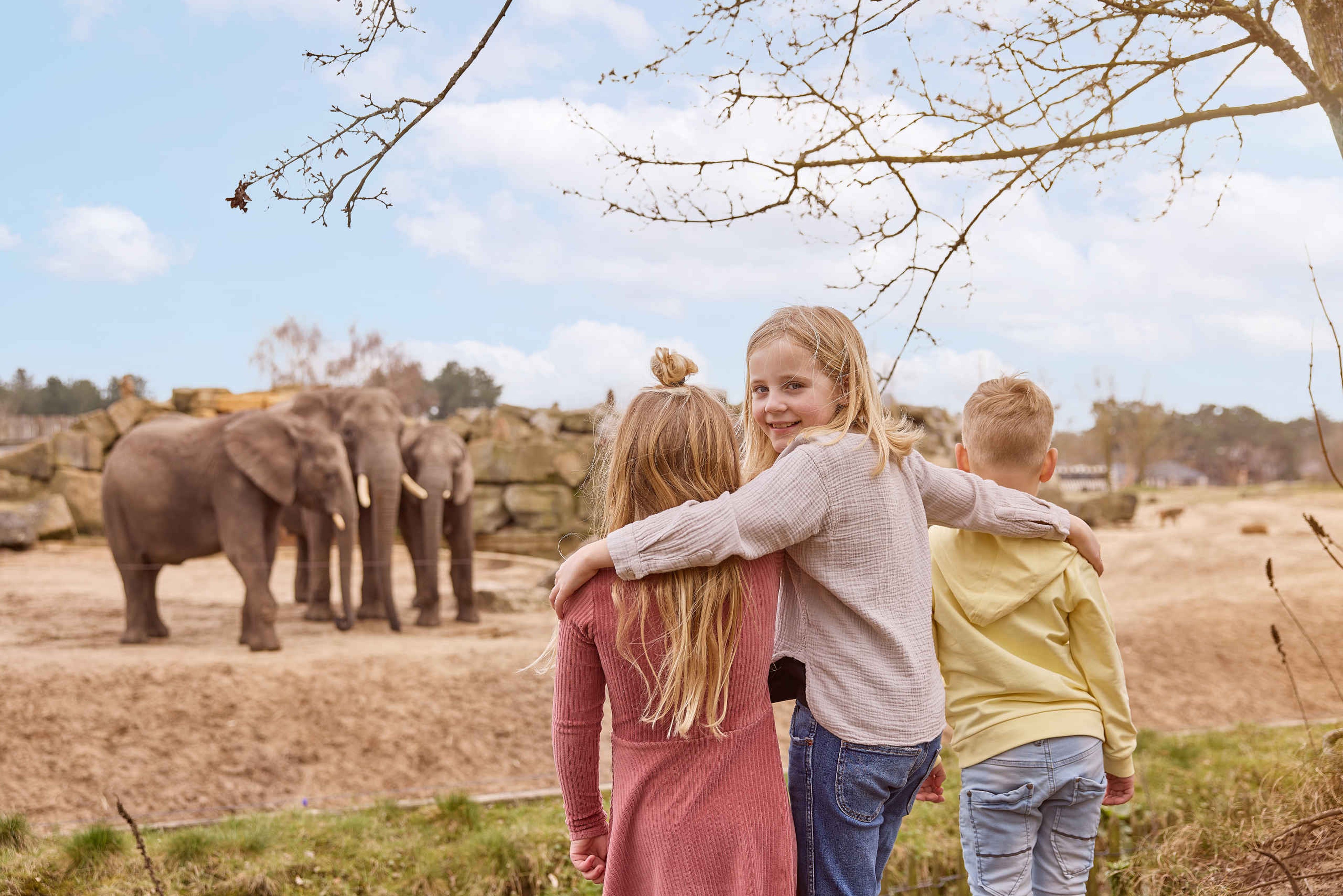 Kinderen bij de olifanten tijdens een schoolreisje bij Safaripark Beekse Bergen