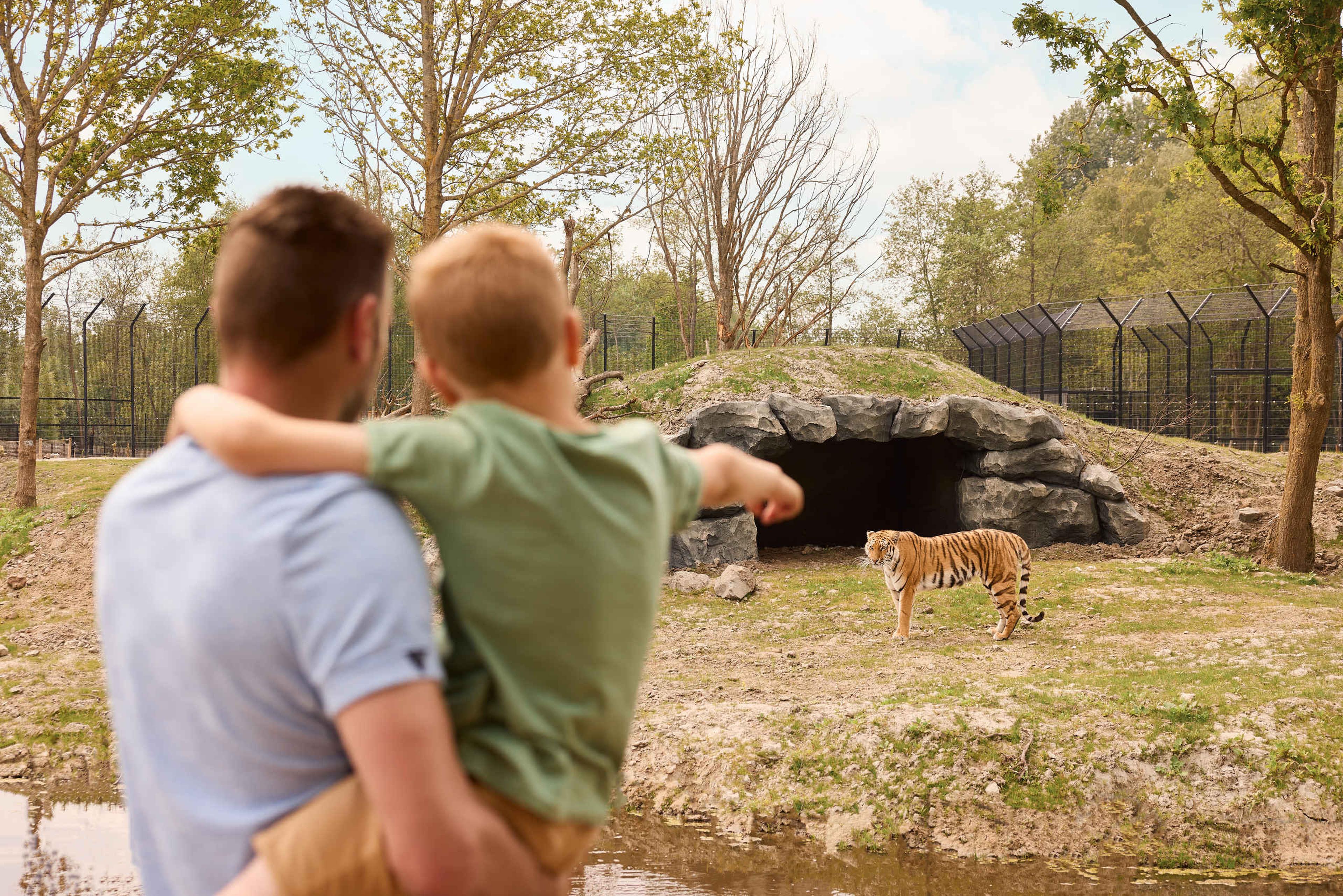Vader en kind wijzen naar tijger in AquaZoo Leeuwarden