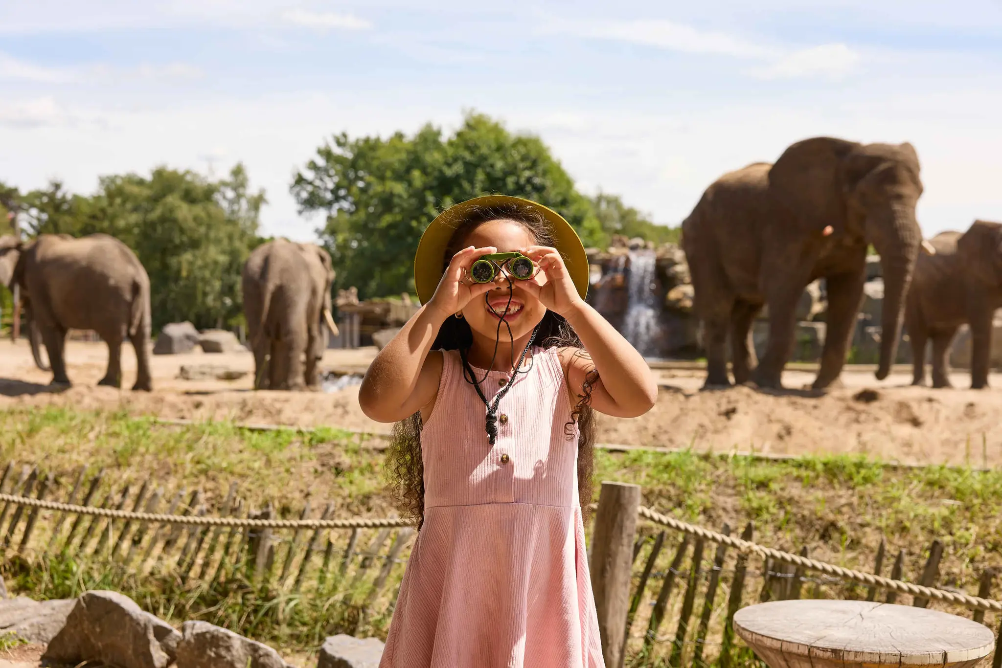 Zomer een meisje met een verrekijker bij het olifantenverblijf in Safaripark Beekse Bergen