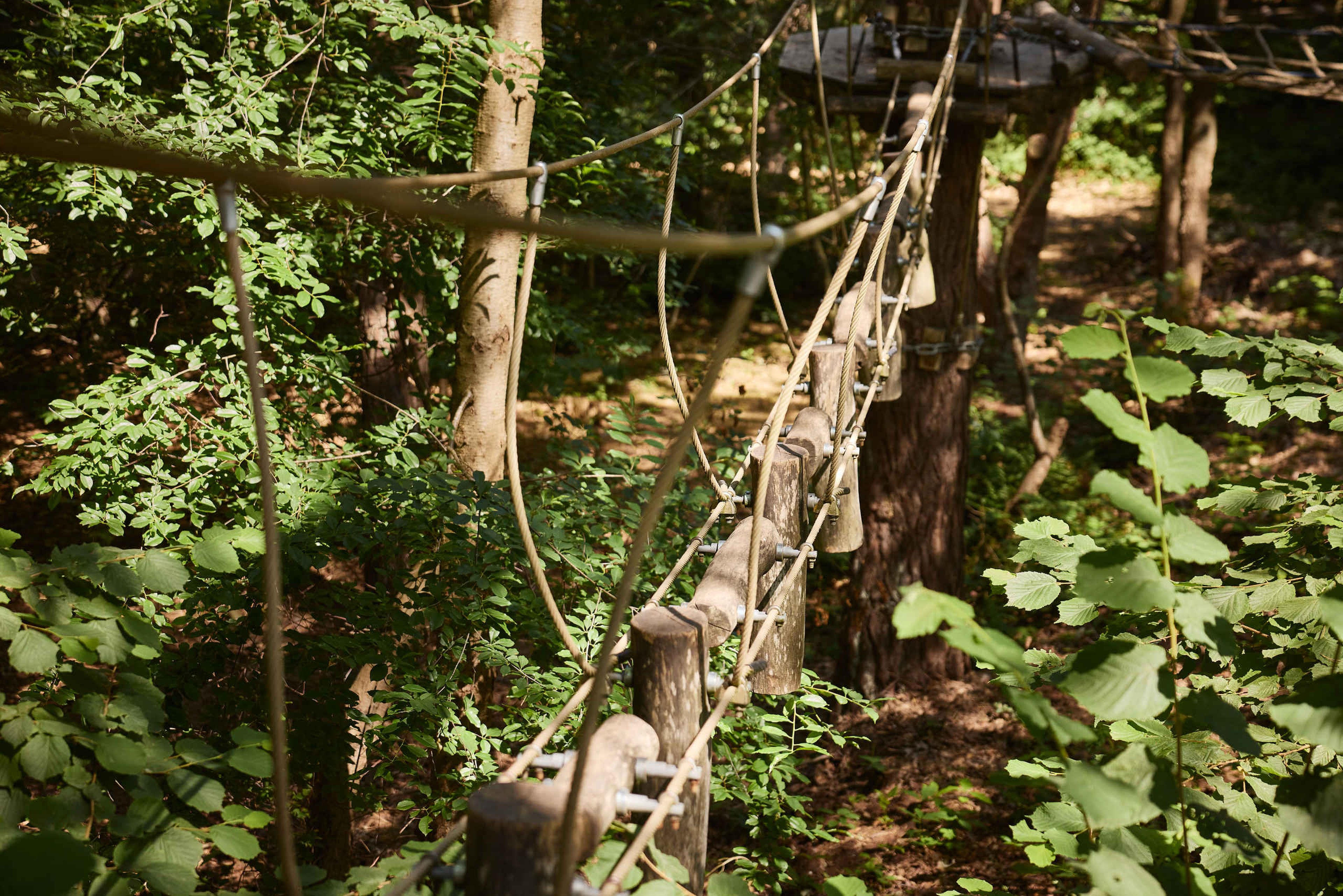Een paaltjes brug op route 2 van het klimparcours bij Klimrijk Brabant