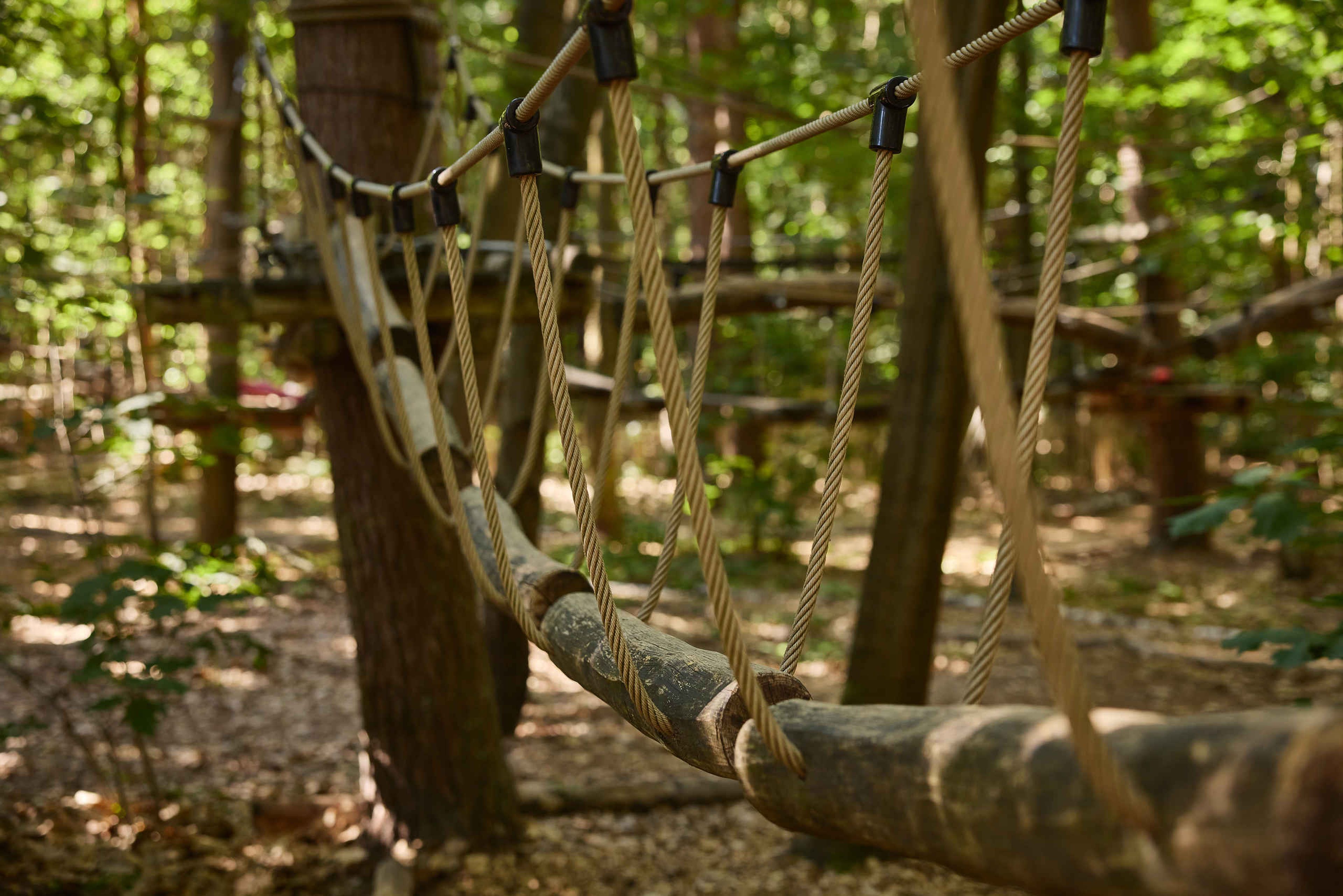 Een balkenbrug op route 6 van het Pico Parcours bij Klimrijk Brabant