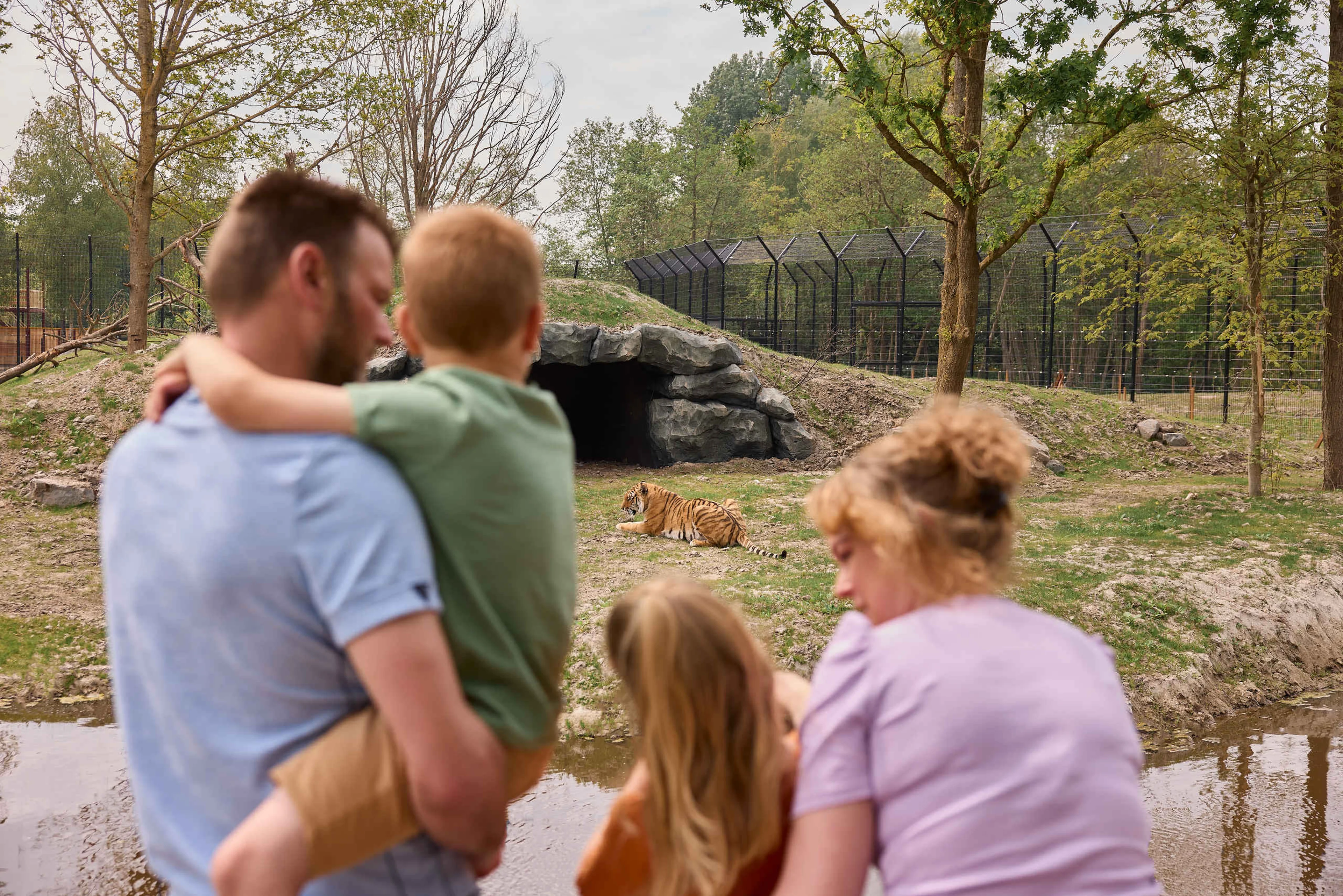 Voorjaar gezin bij de tijgers in AquaZoo Leeuwarden