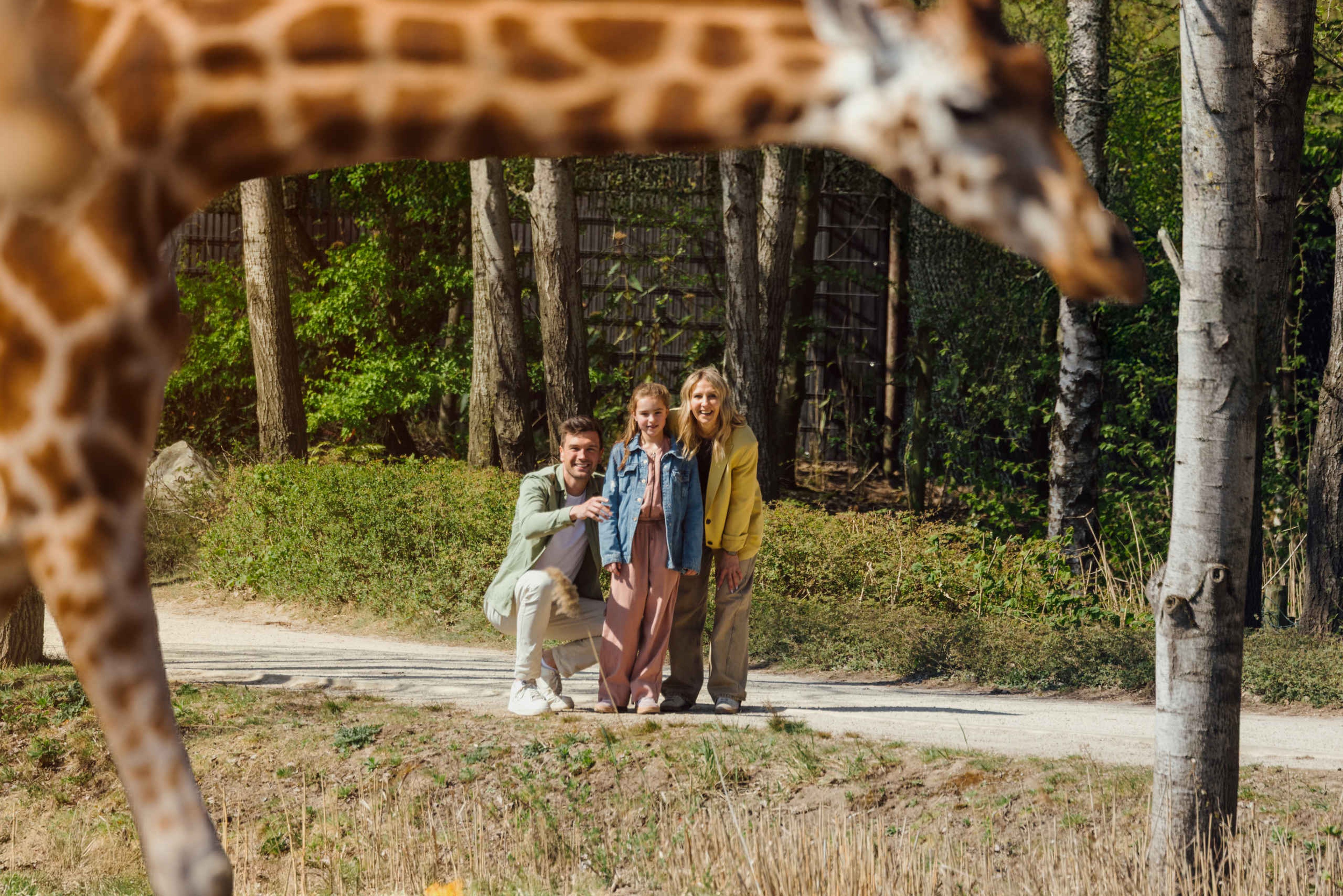 Wandelsafari gezin ouders met dochter kijken naar de giraf bij Safaripark Beekse Bergen