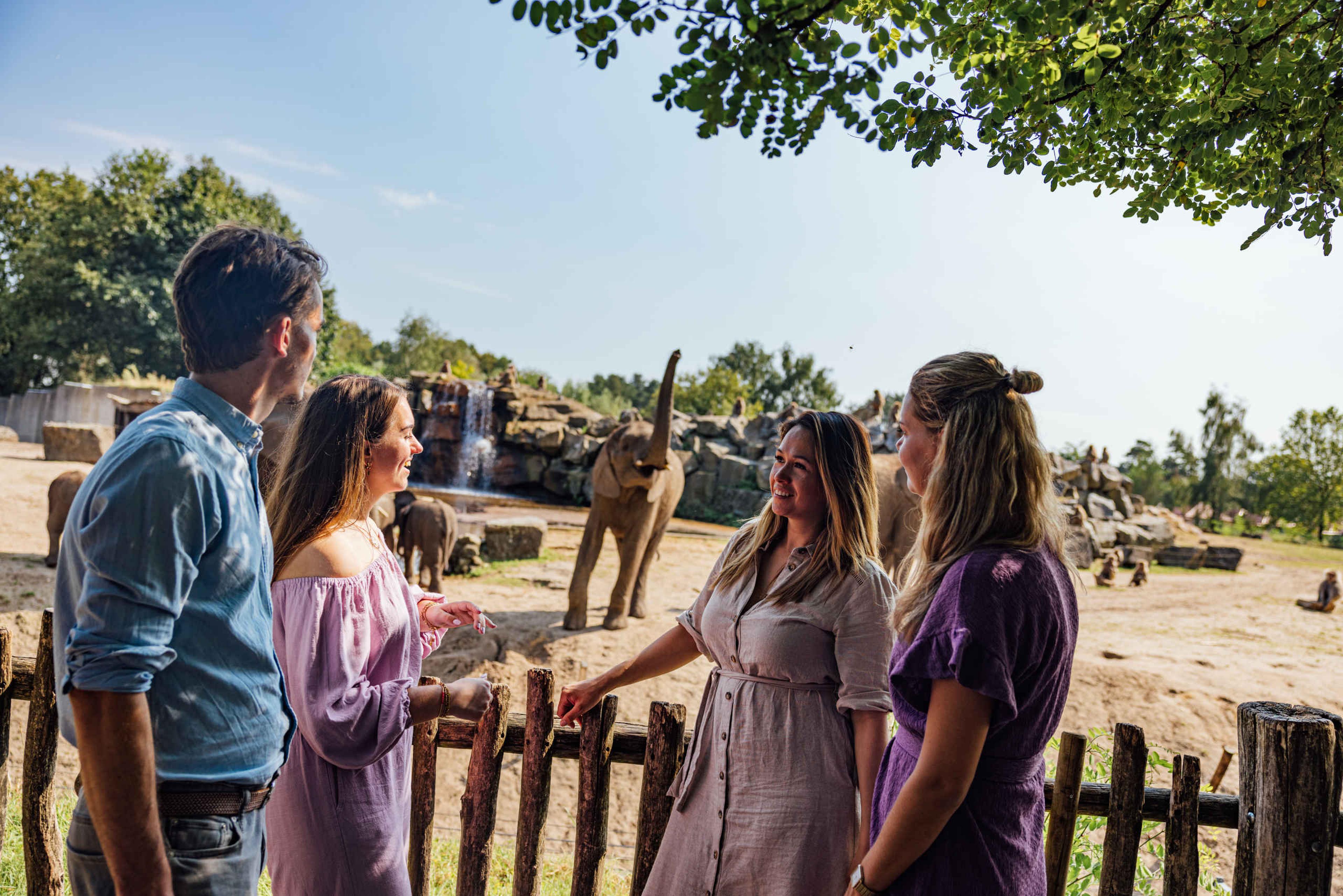 Groepsuitje of personeelsuitje bij Safaripark Beekse Bergen