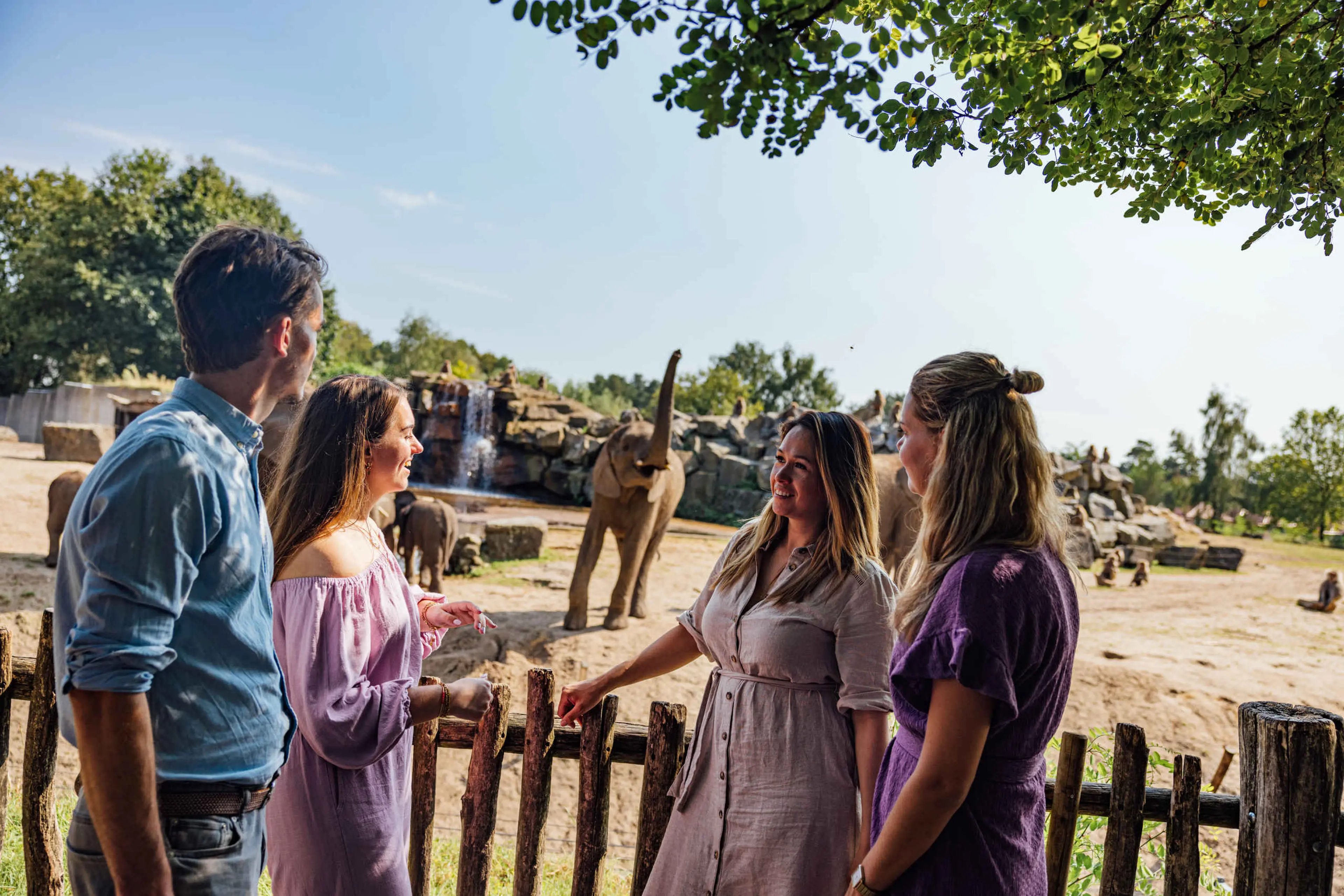 Groepsuitje of personeelsuitje bij Safaripark Beekse Bergen