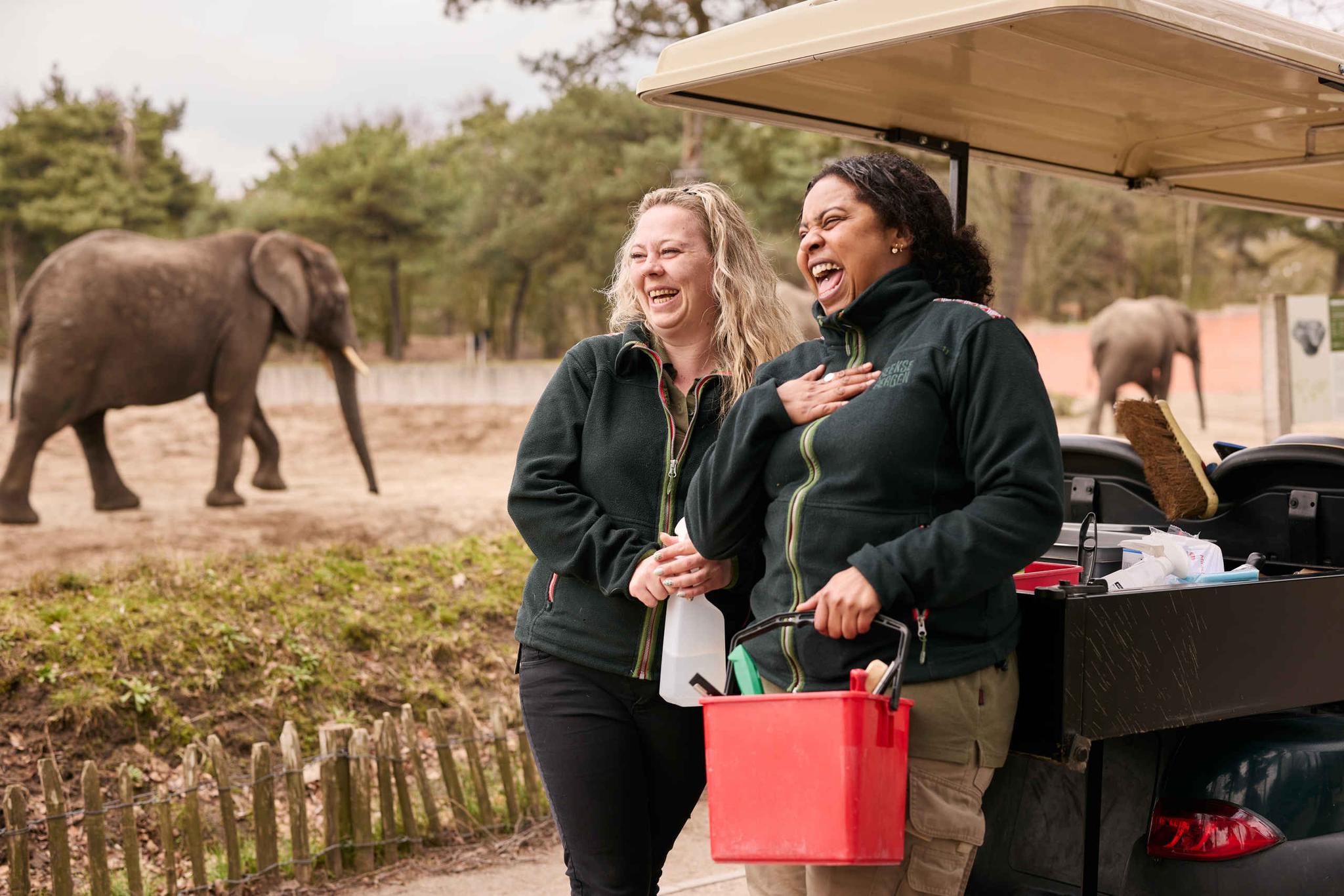 Schoonmaaksters in Safaripark Beekse Bergen
