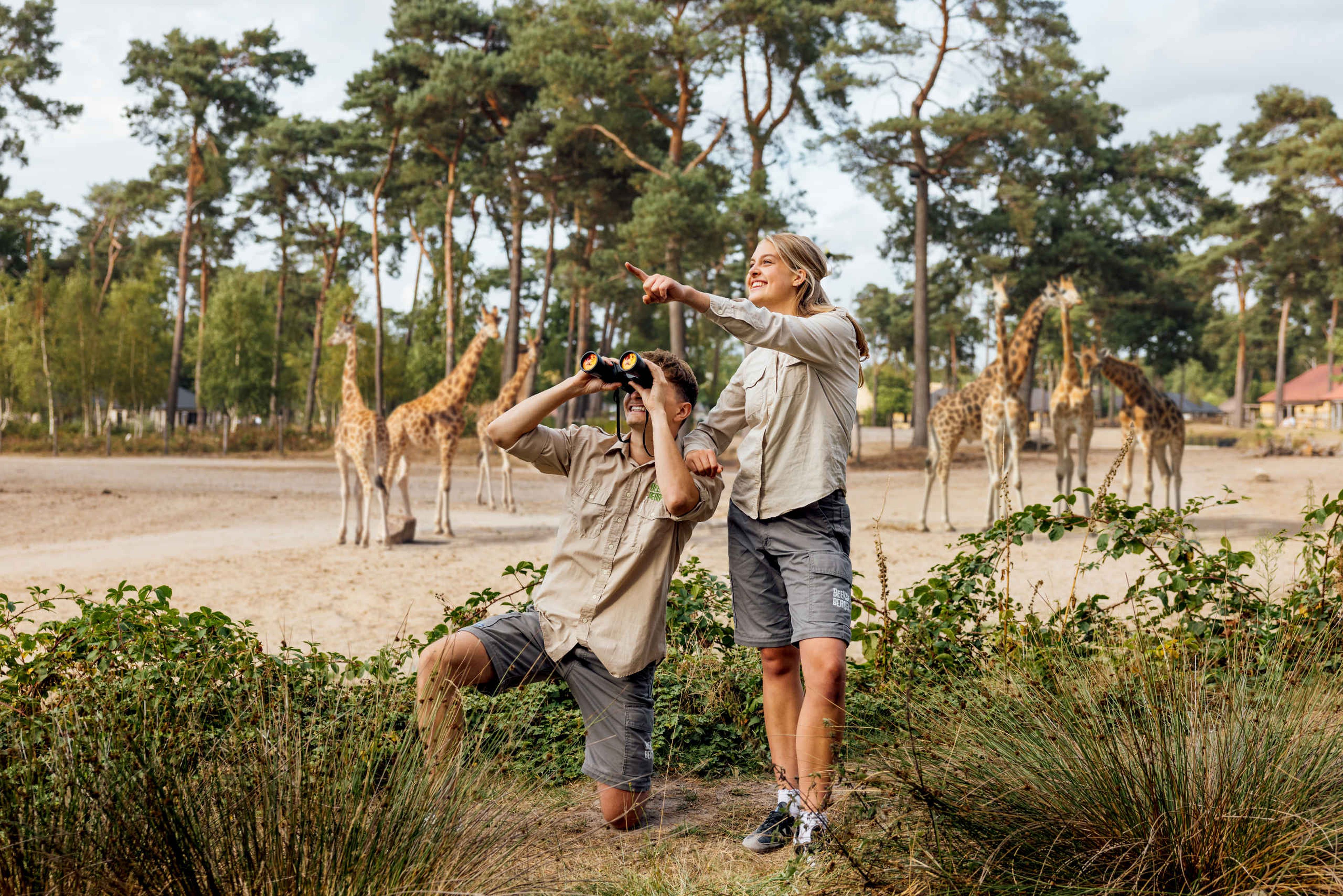 Twee rangers staan bij de savanne met giraffen op het Safari Resort Beekse Bergen.