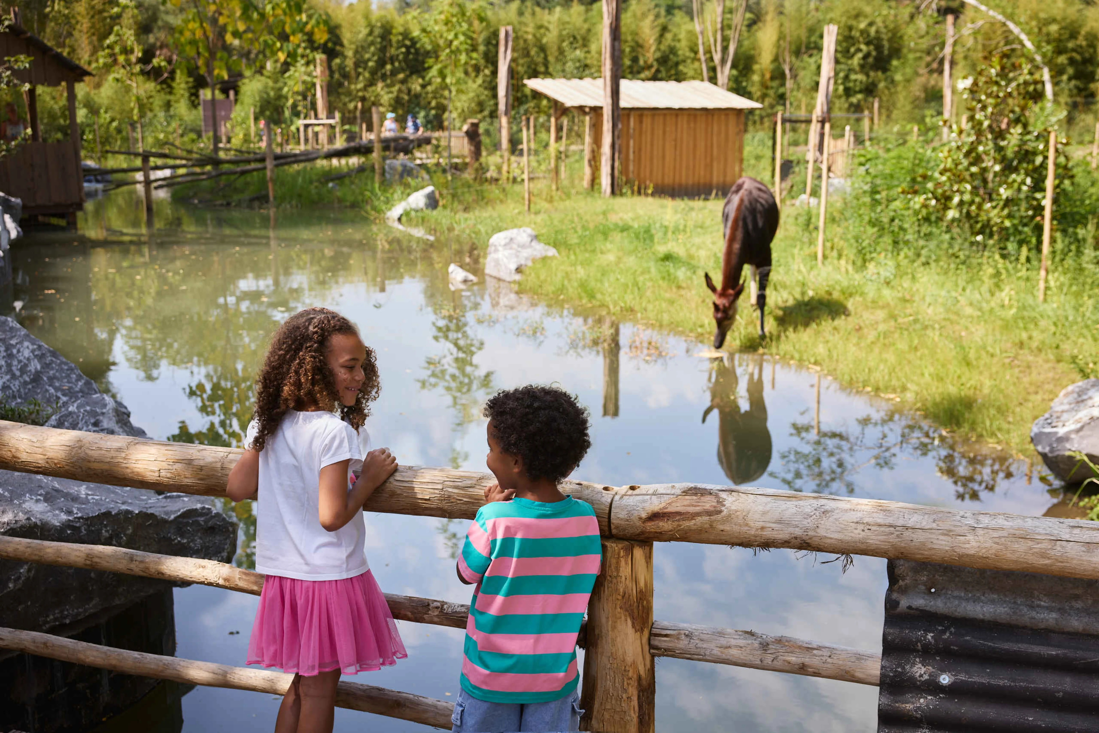 Twee kinderen kijken naar een okapi in expeditiegebied Ngyuwe in ZooParc Overloon.