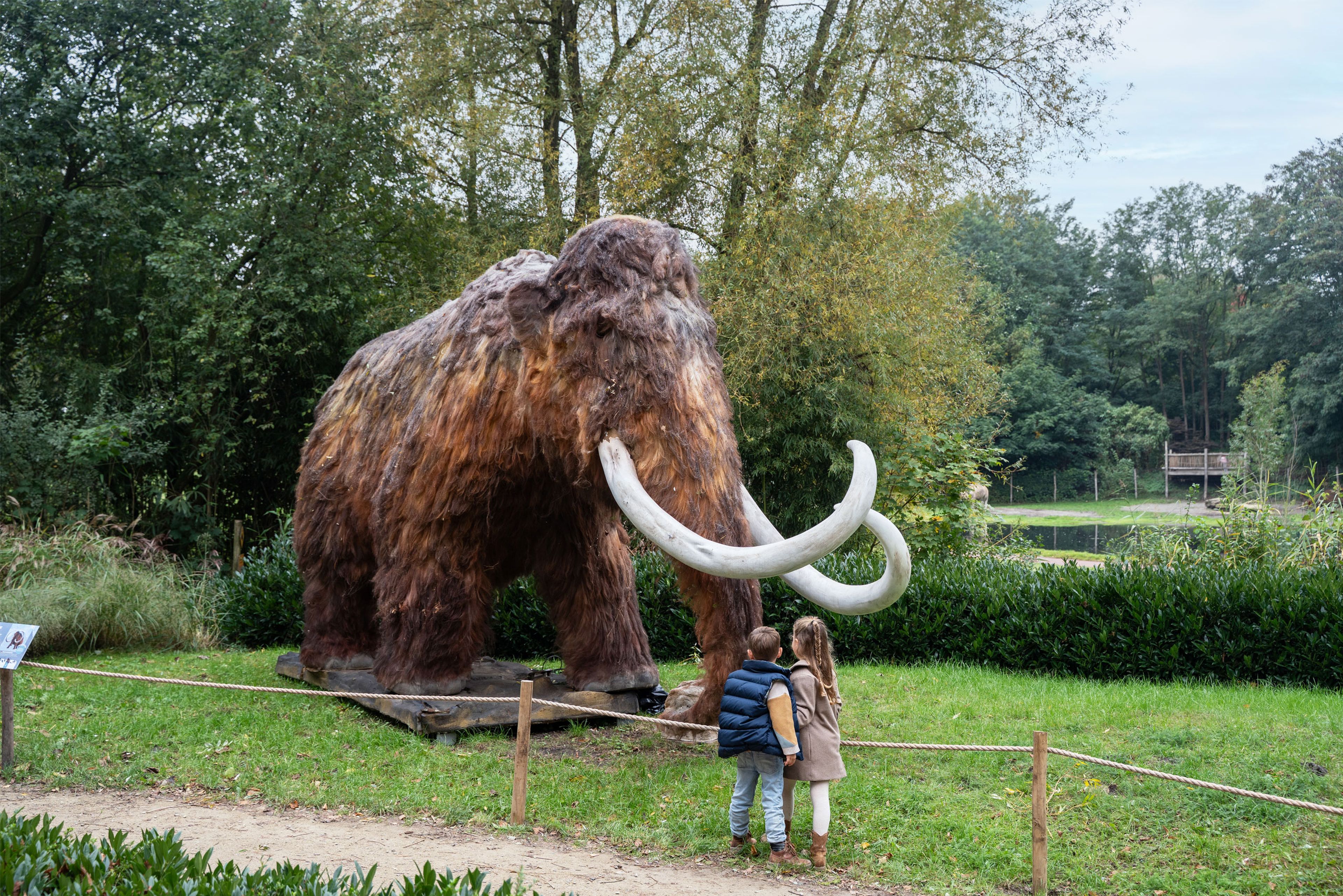 Twee kinderen bij de wolharige mammoet tijdens IJstijd in ZooParc Overloon