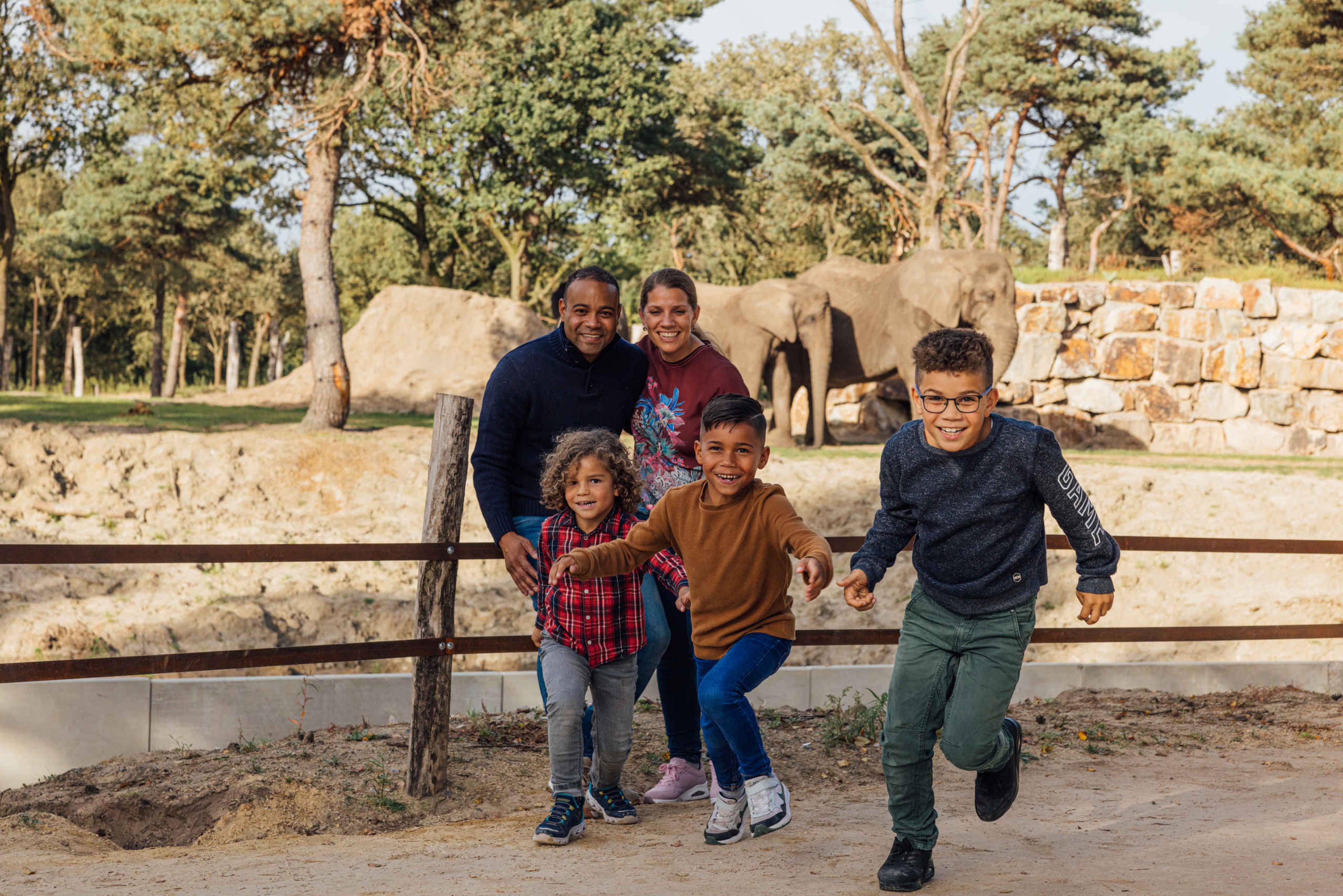 Herfst kinderen olifanten met gezin Safaripark Beekse Bergen