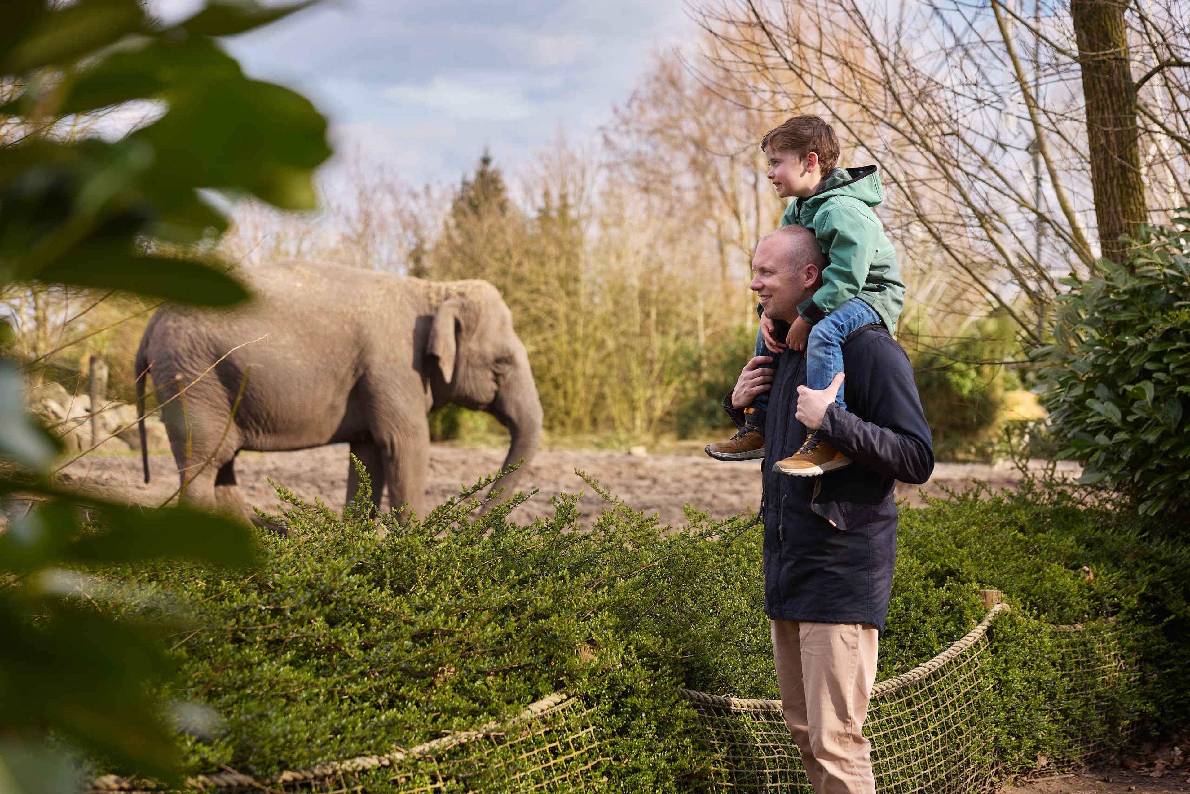 Vader en zoon kijken naar olifant in Eindhoven Zoo