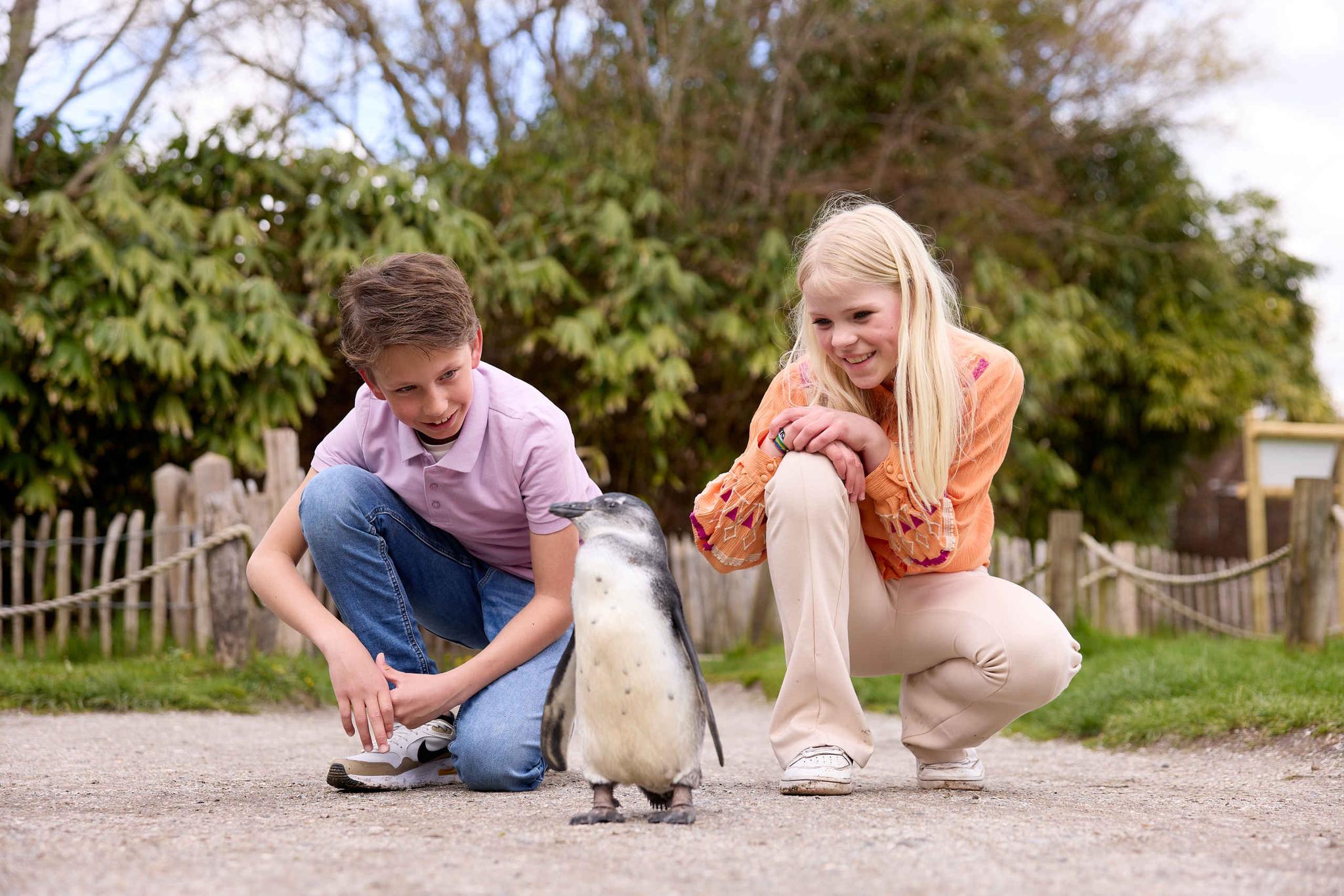 Kinderen met Humboldt Pinguïn