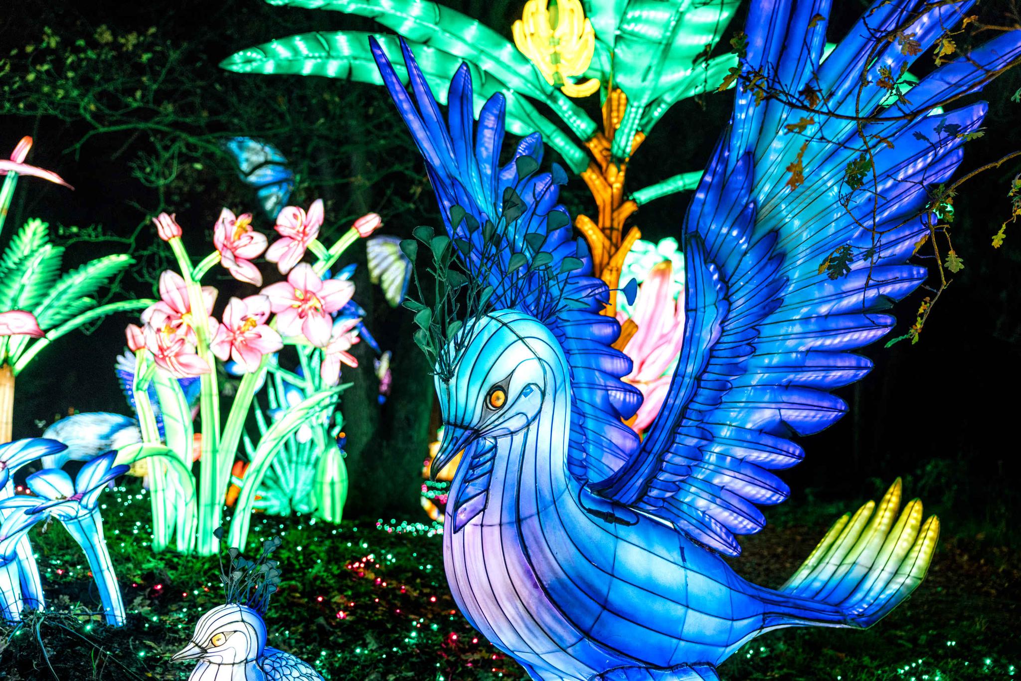 Vogel lichtfiguur tijdens Light Safari Beekse Bergen