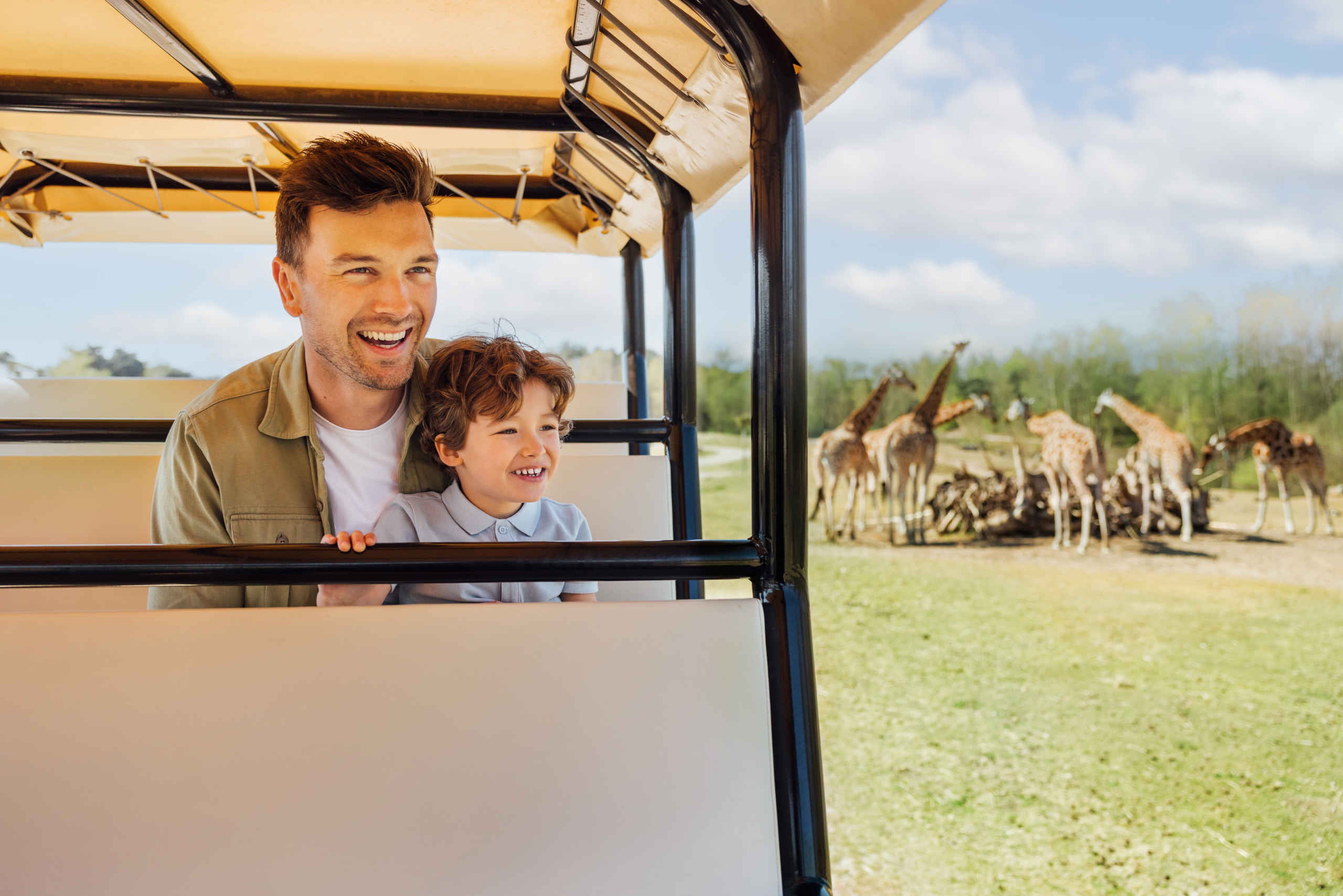 Gamedrive bij de giraffen een vader en zoon in het voorjaar bij Safaripark beekse Bergen
