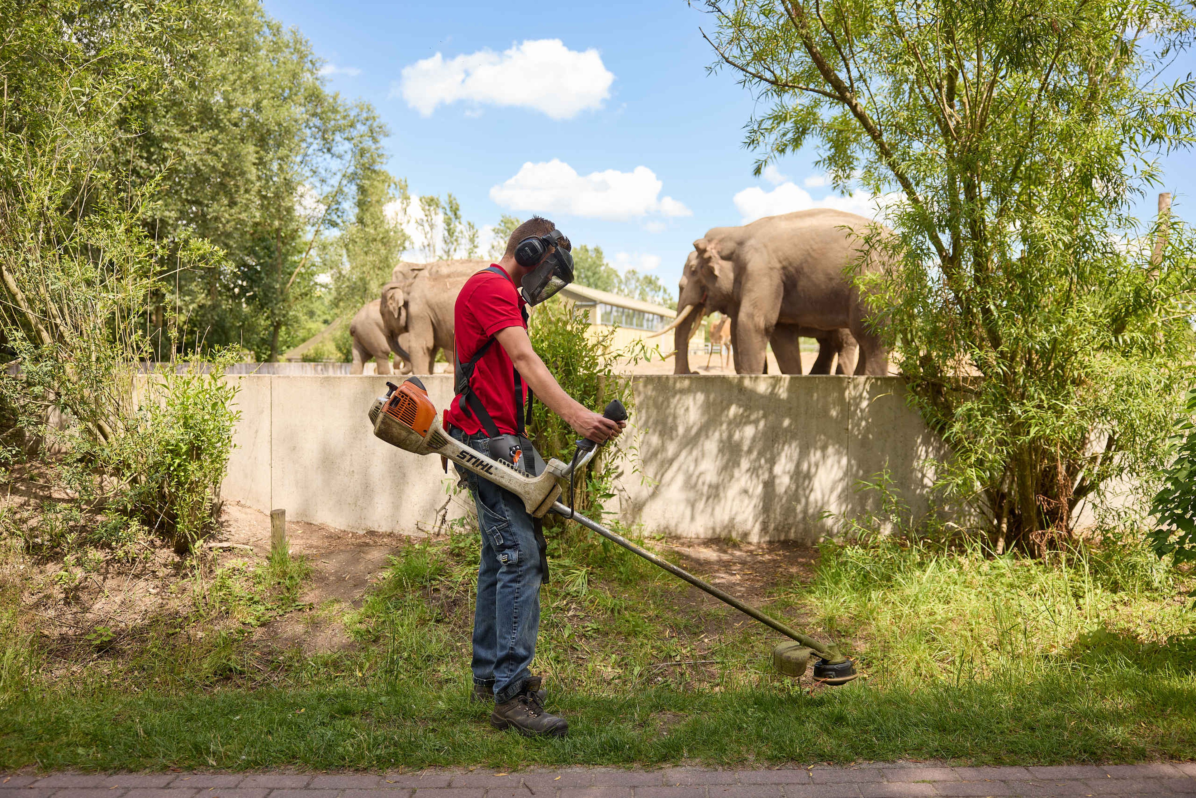 Medewerker groenvoorziening bij de olifanten in Eindhoven Zoo
