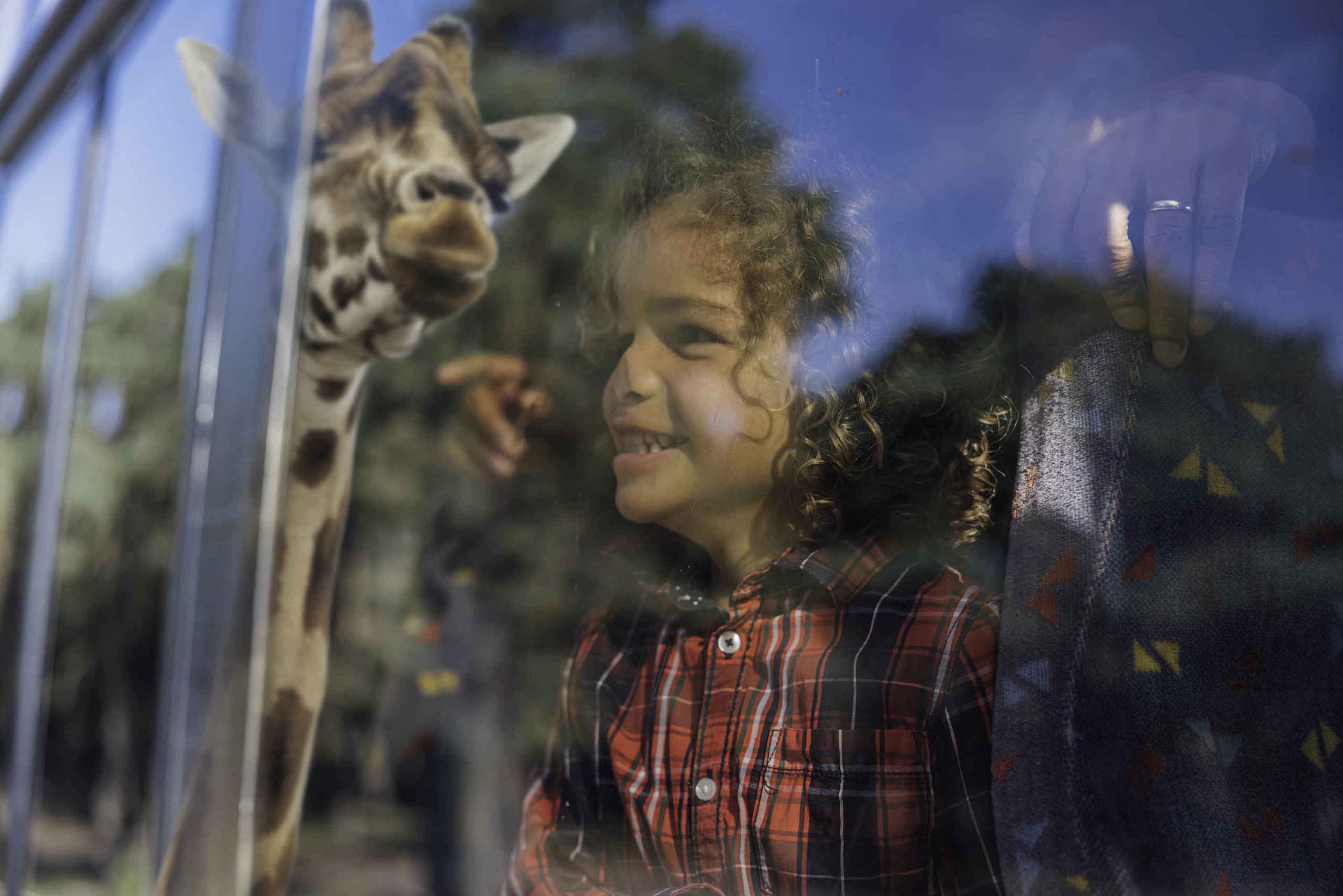 Jongen in de bussafari in Safaripark Beekse Bergen