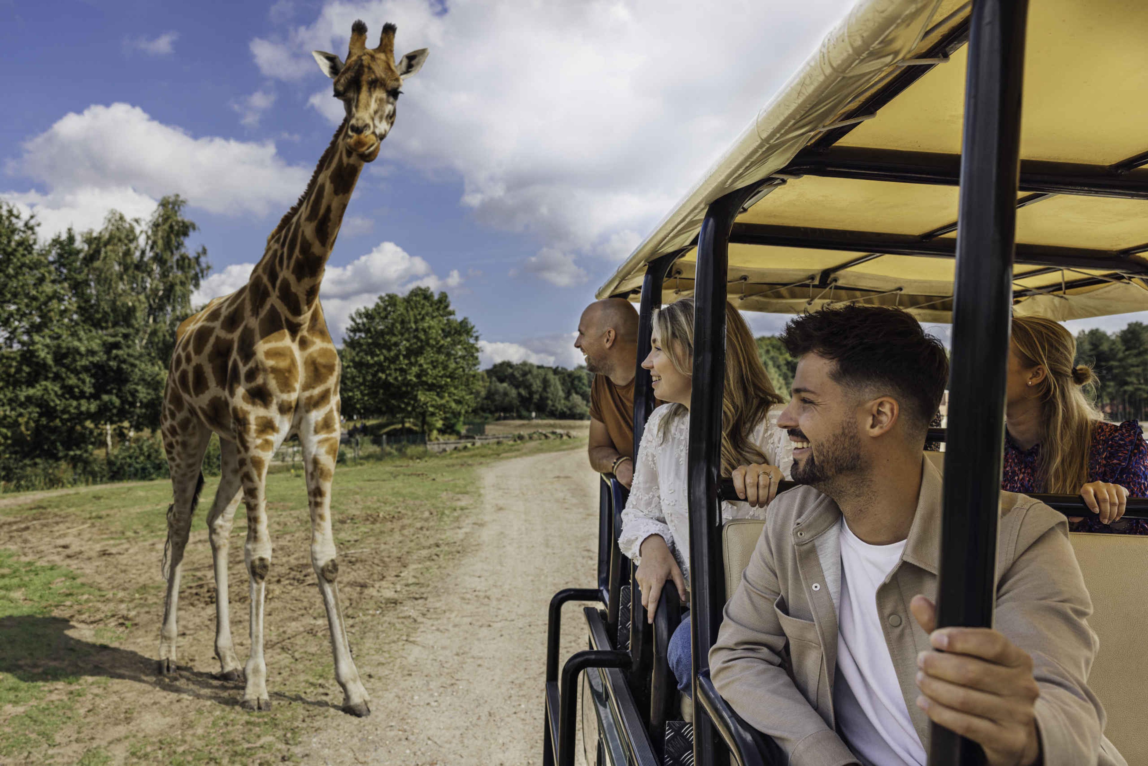 Medewerkers van Libéma in een gamedrive in Safaripark Beekse Bergen