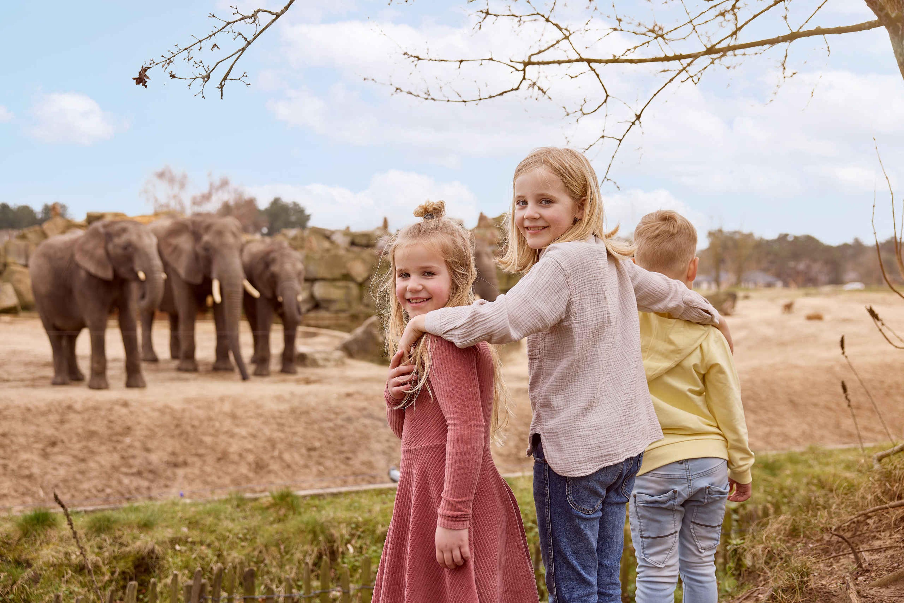 Kinderen bij olifanten tijdens een kinderfeestje in Beekse Bergen