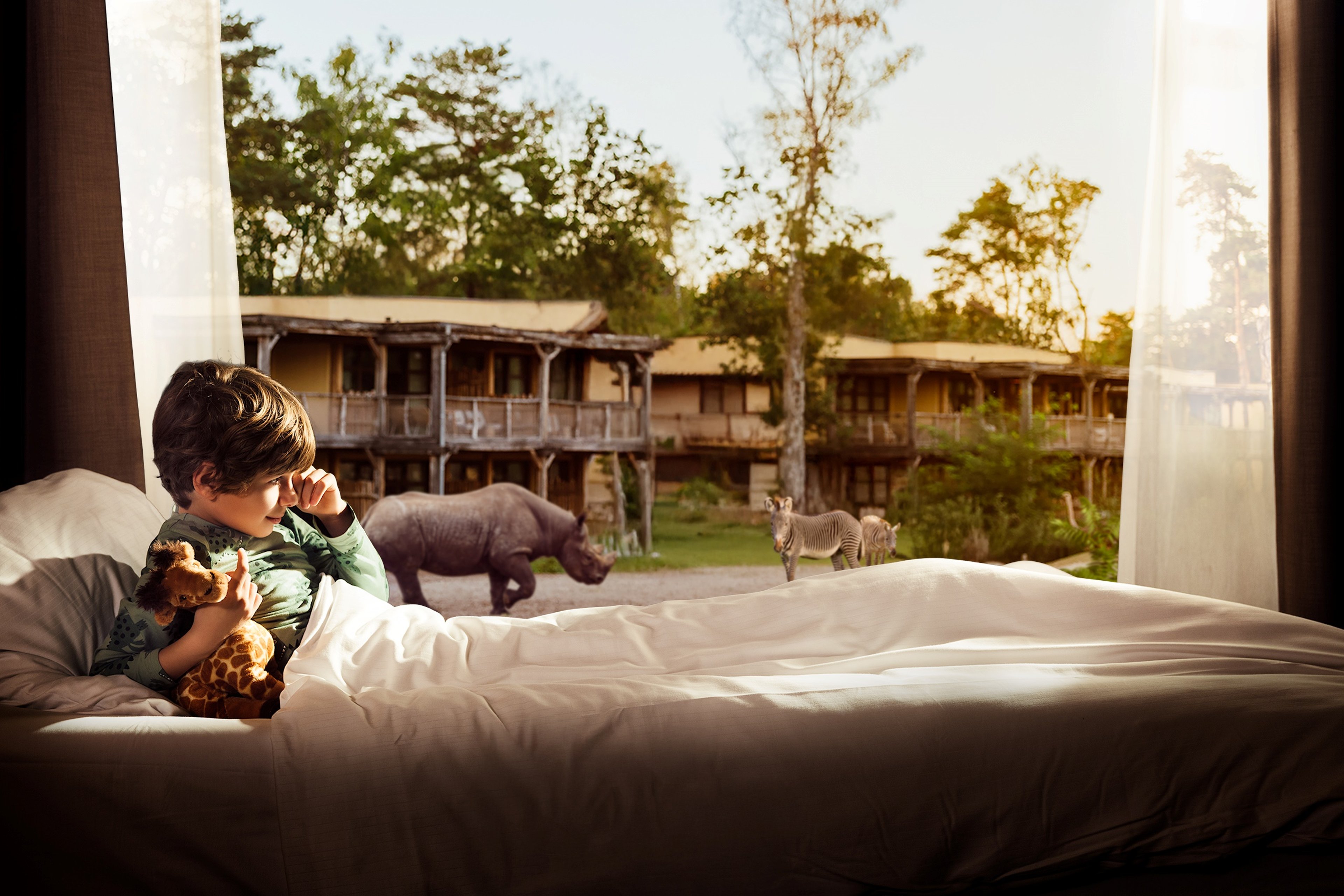 Een jongen ontwaakt in een Savanne Room met uitzicht op een savanne met giraffen, zebra's en neushoorns bij Safari Hotel Beekse Bergen.