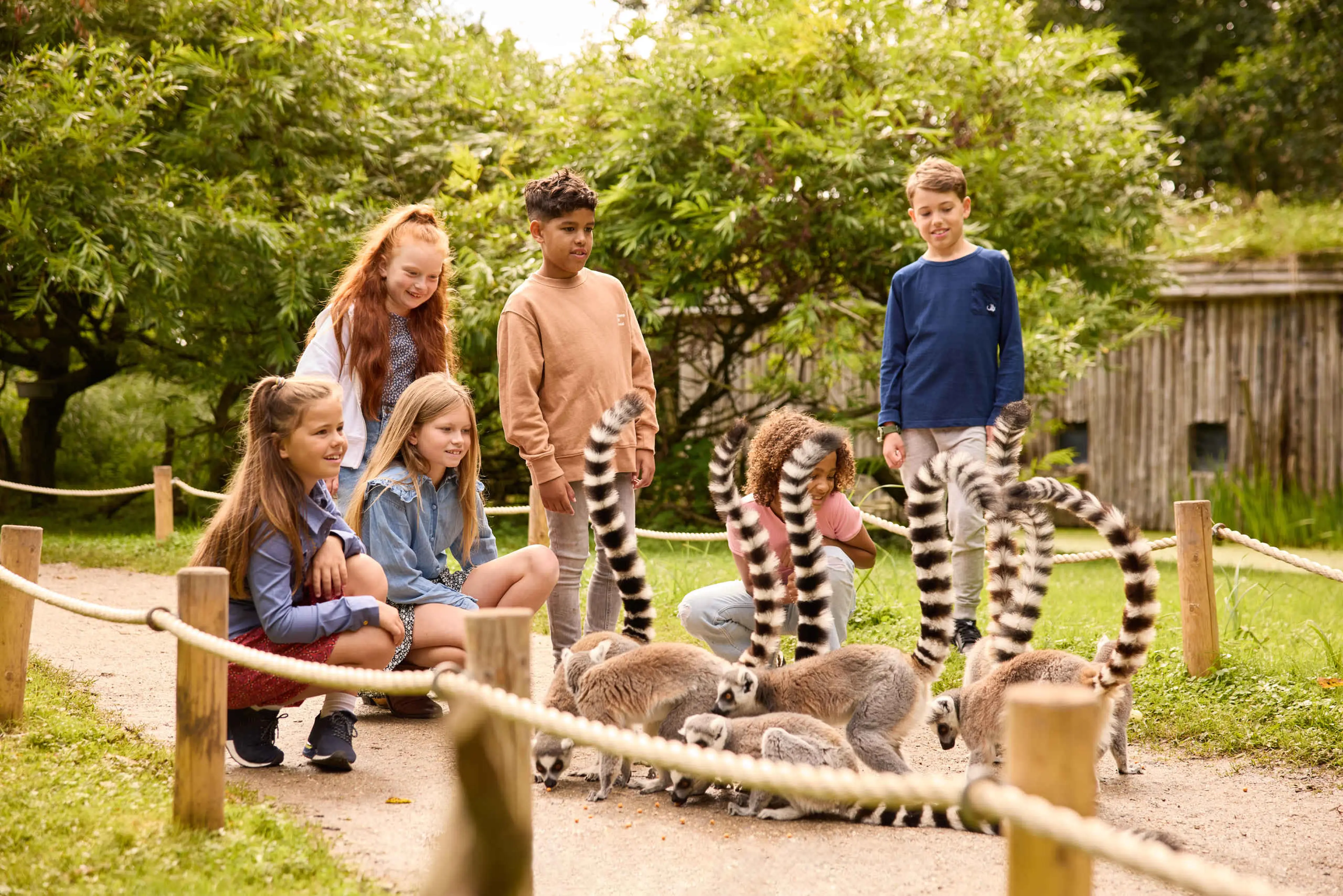 Kinderen met ringstaartmaki's tijdens een kinderfeestje in AquaZoo Leeuwarden