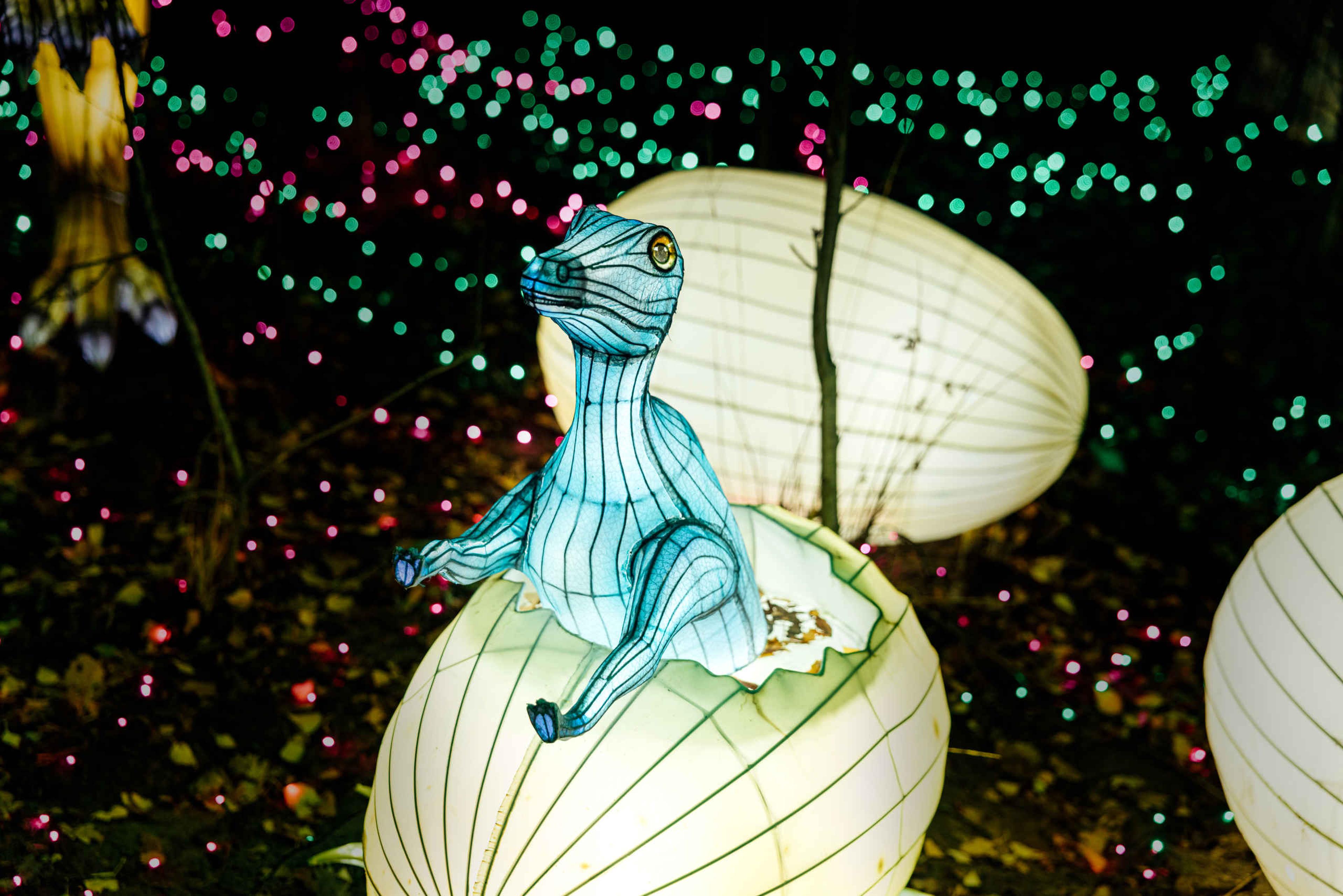 Dino kruipt uit ei tijdens Light Safari Beekse Bergen