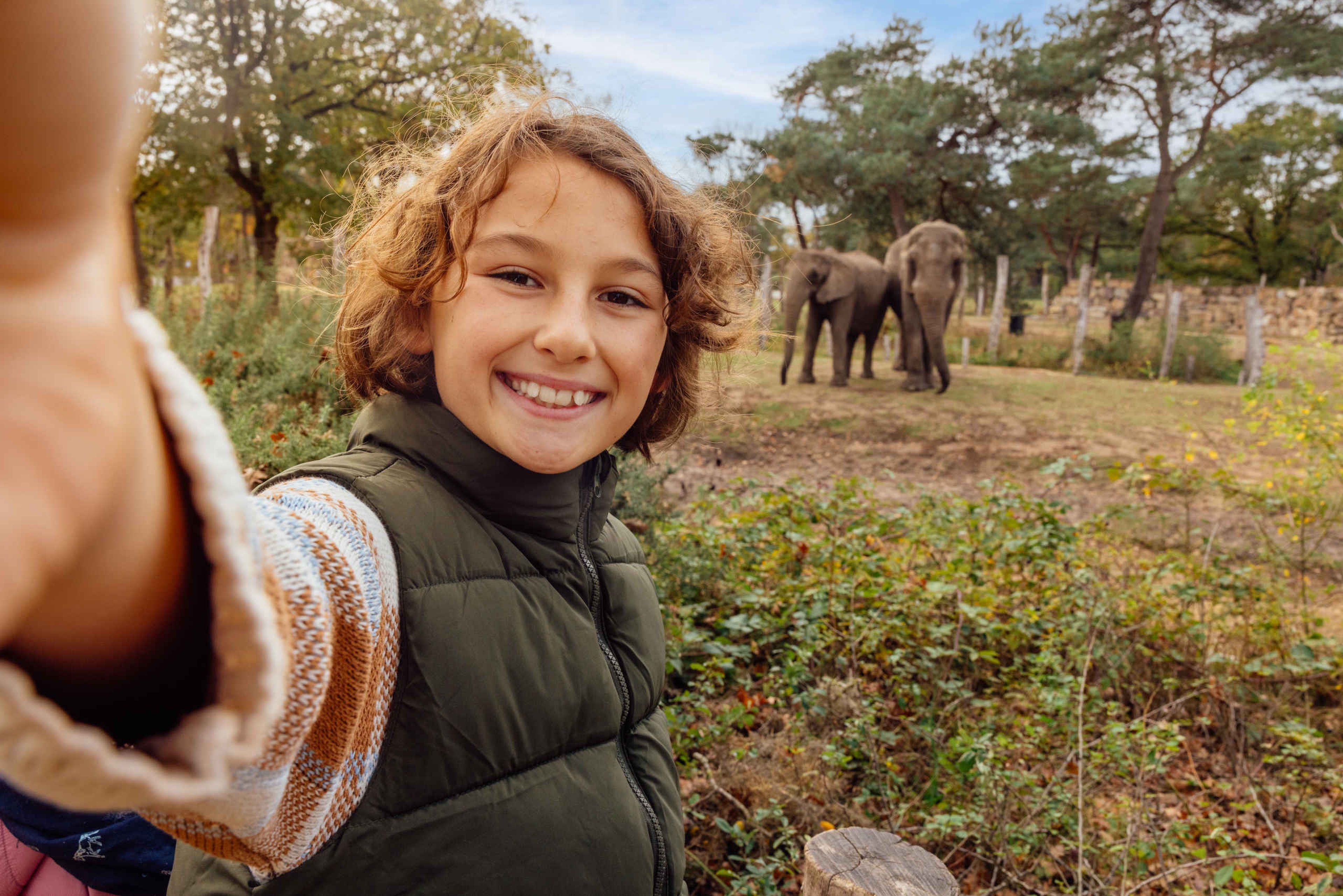 Een jongen maakt een foto met de Afrikaanse olifanten bij Safaripark Beekse Bergen.