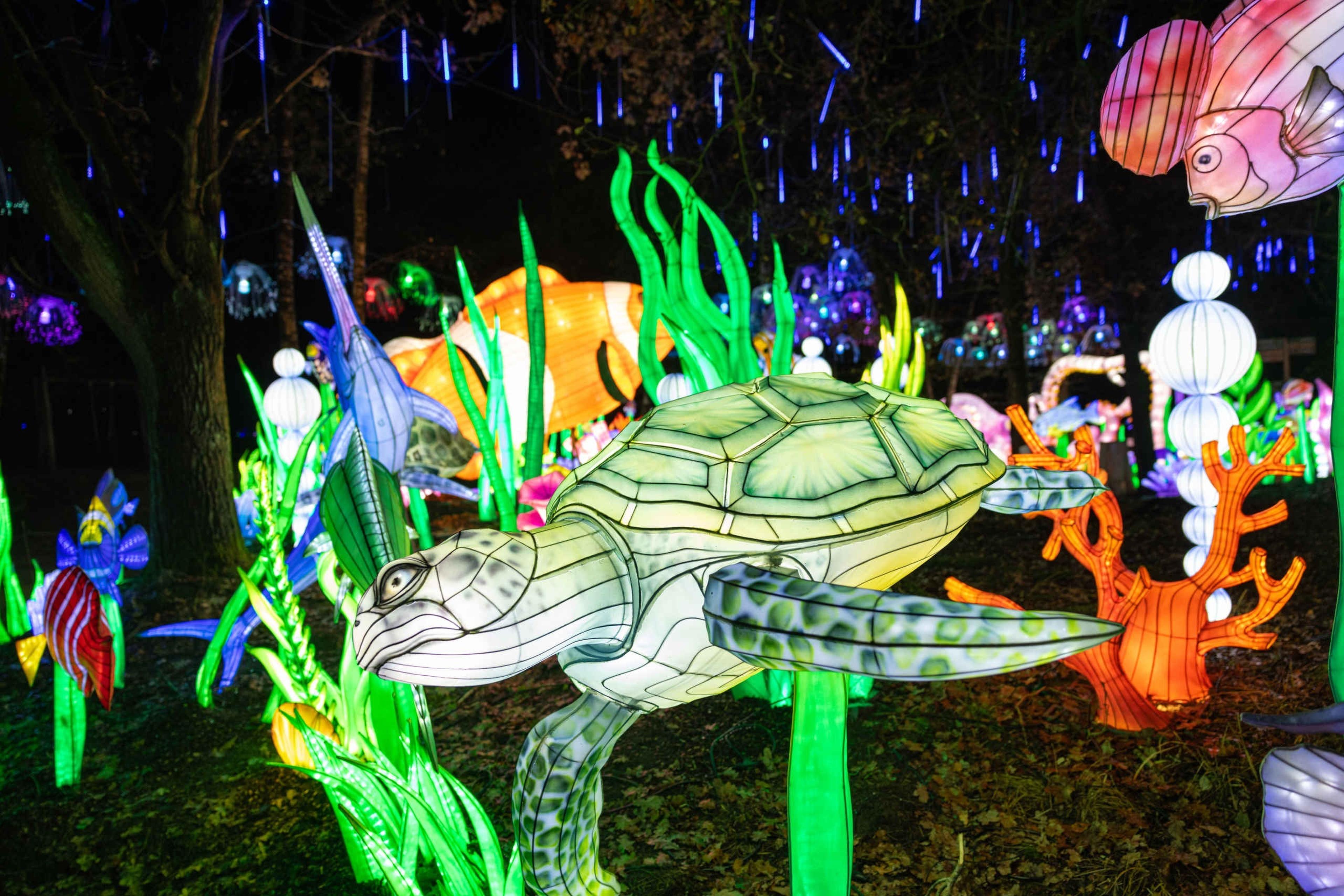 Zeeschildpad bij Light Safari Beekse Bergen