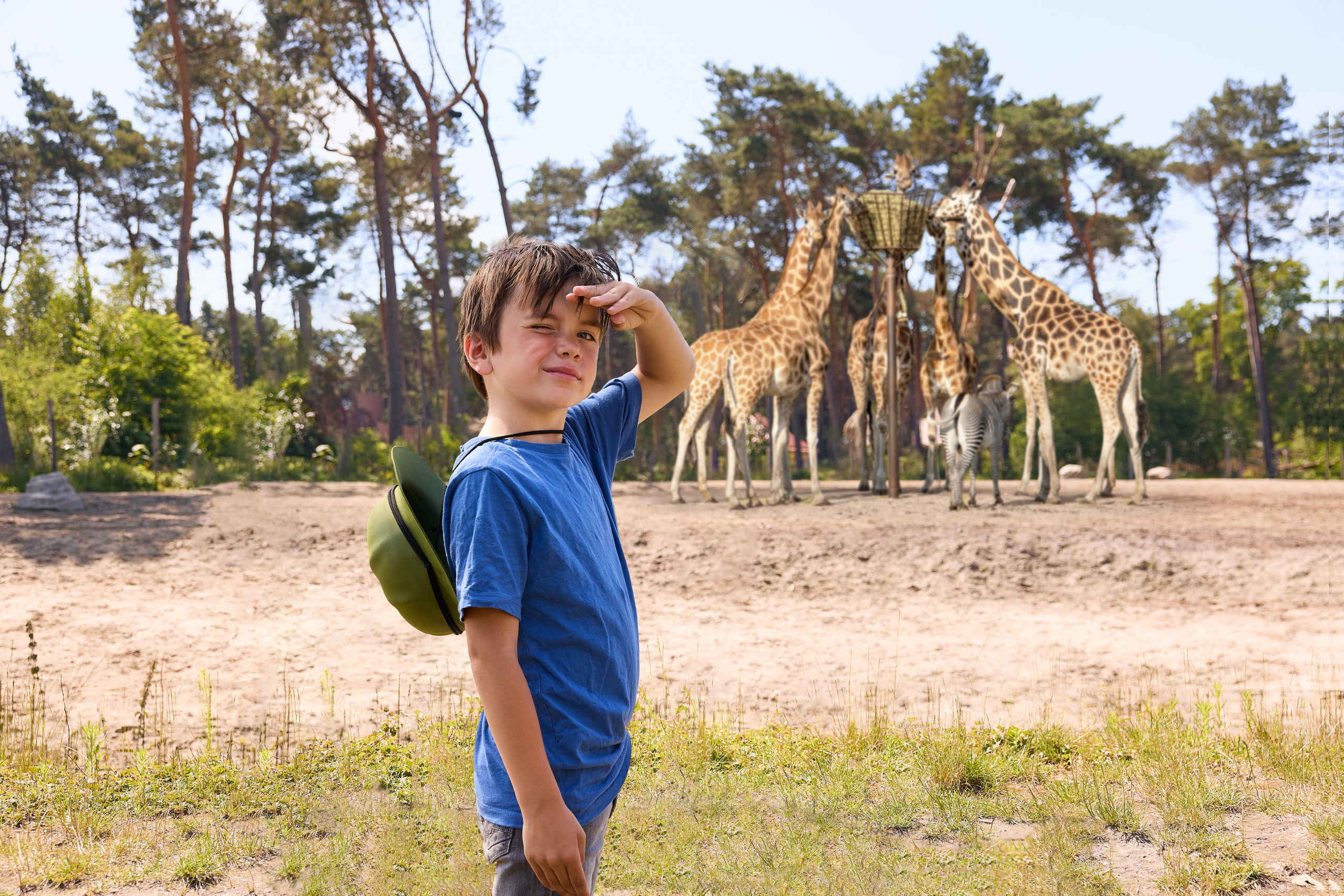 Zomer jongen met een safarihoedje is ranger bij de savanne met giraffen bij Safari Resort Beekse Bergen