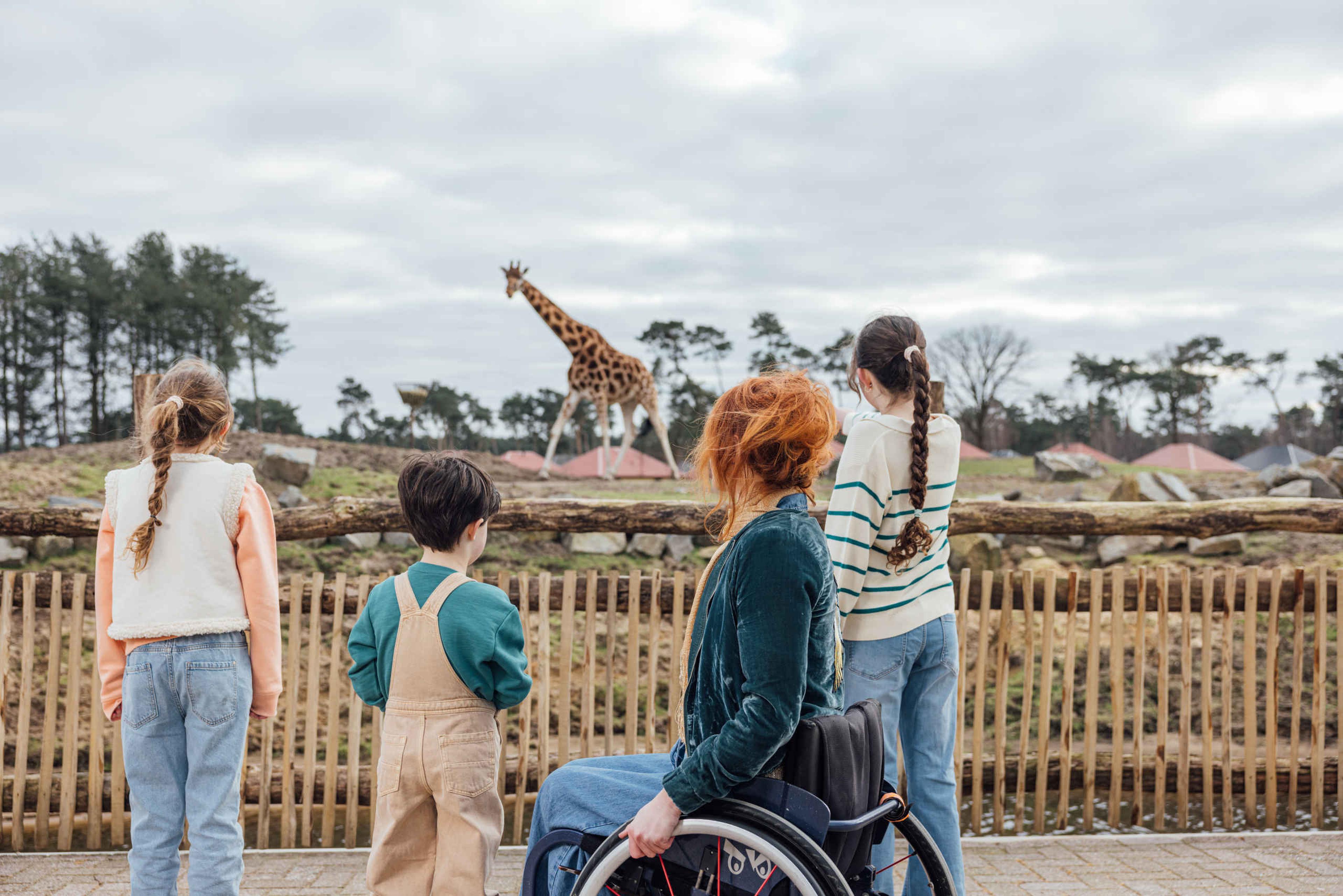 Gezin met bezoeker in rolstoel bij de giraffen in Safaripark Beekse Bergen