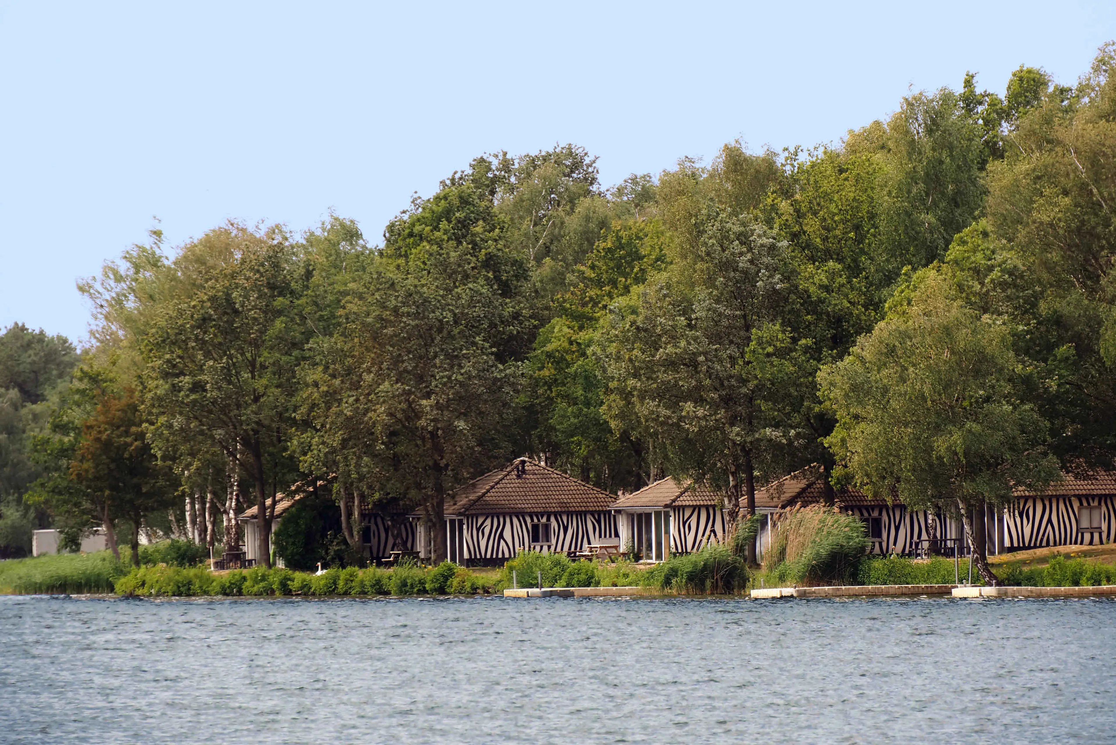 De vernieuwde Forest Jungalows aan het Victoriameer op Lake Resort Beekse Bergen.