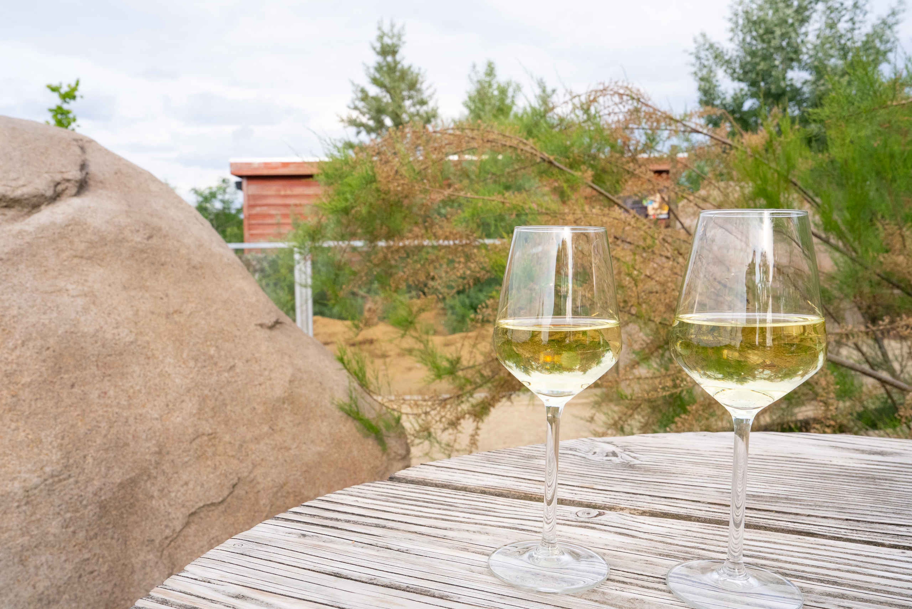 Twee wijnglazen op een tafel tijdens Dinner at the Zoo in ZooParc Overloon