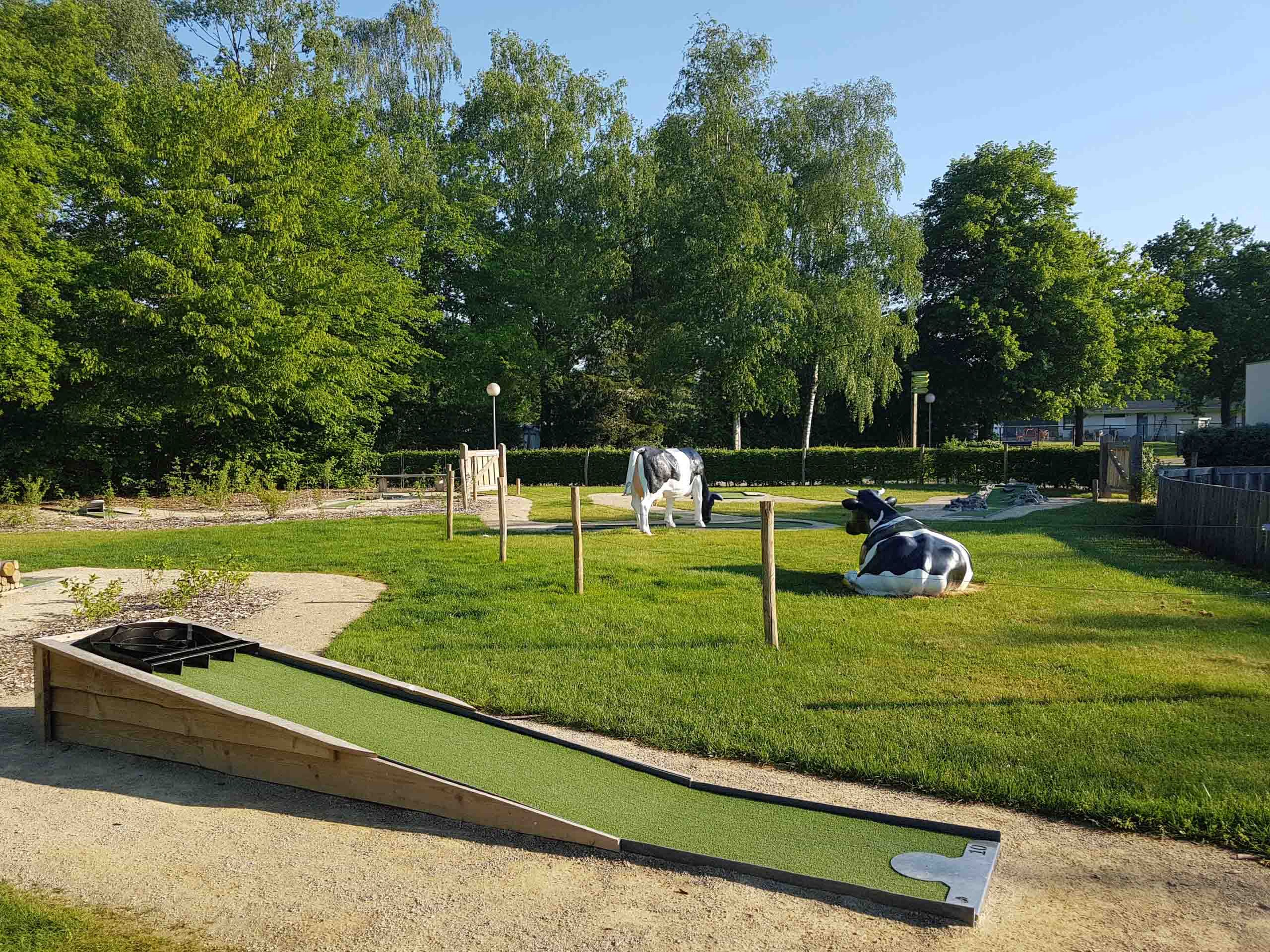 Hole van de midgetgolfbaan van Vakantiepark Dierenbos