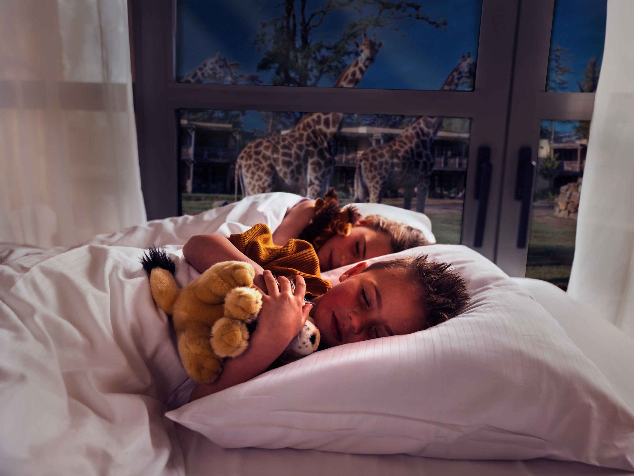 Twee kinderen liggen te slapen in een bed met uitzicht op de giraffen bij het Safari Hotel Beekse Bergen.