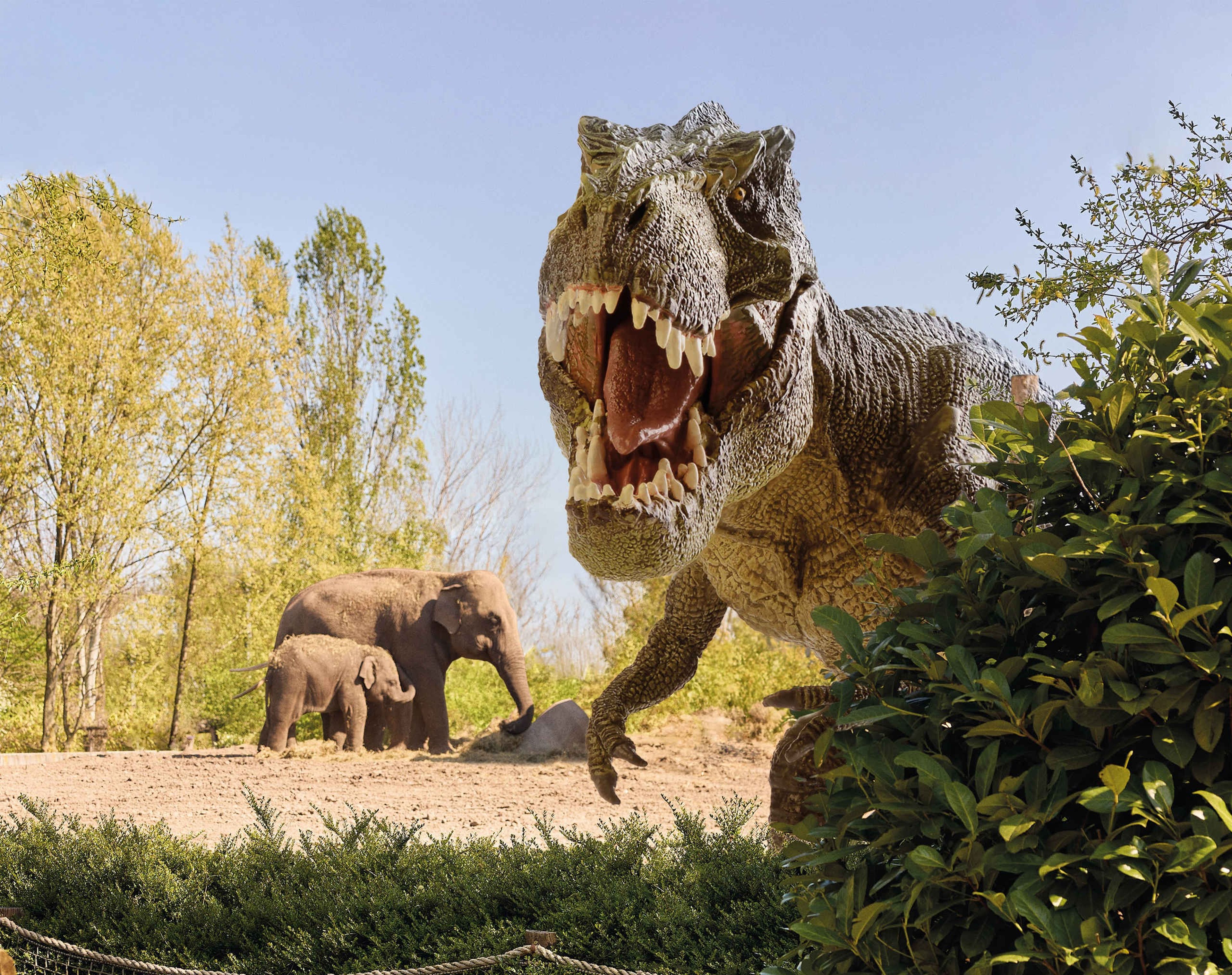 Een T-rex staat naast de olifanten bij DINO vs DIER bij Eindhoven Zoo.