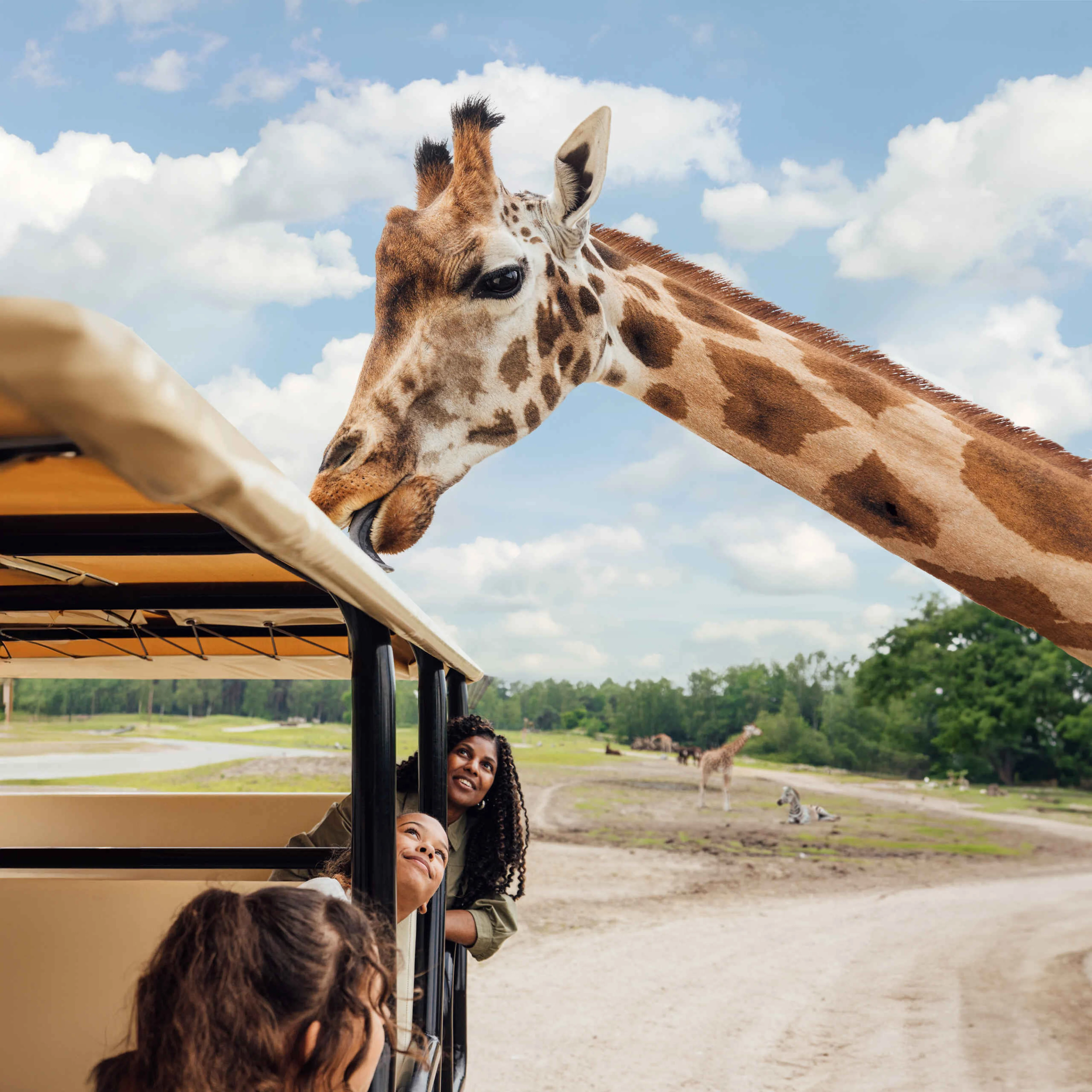 Giraf, meisje en moeder in gamedrive in Safaripark Beekse Bergen