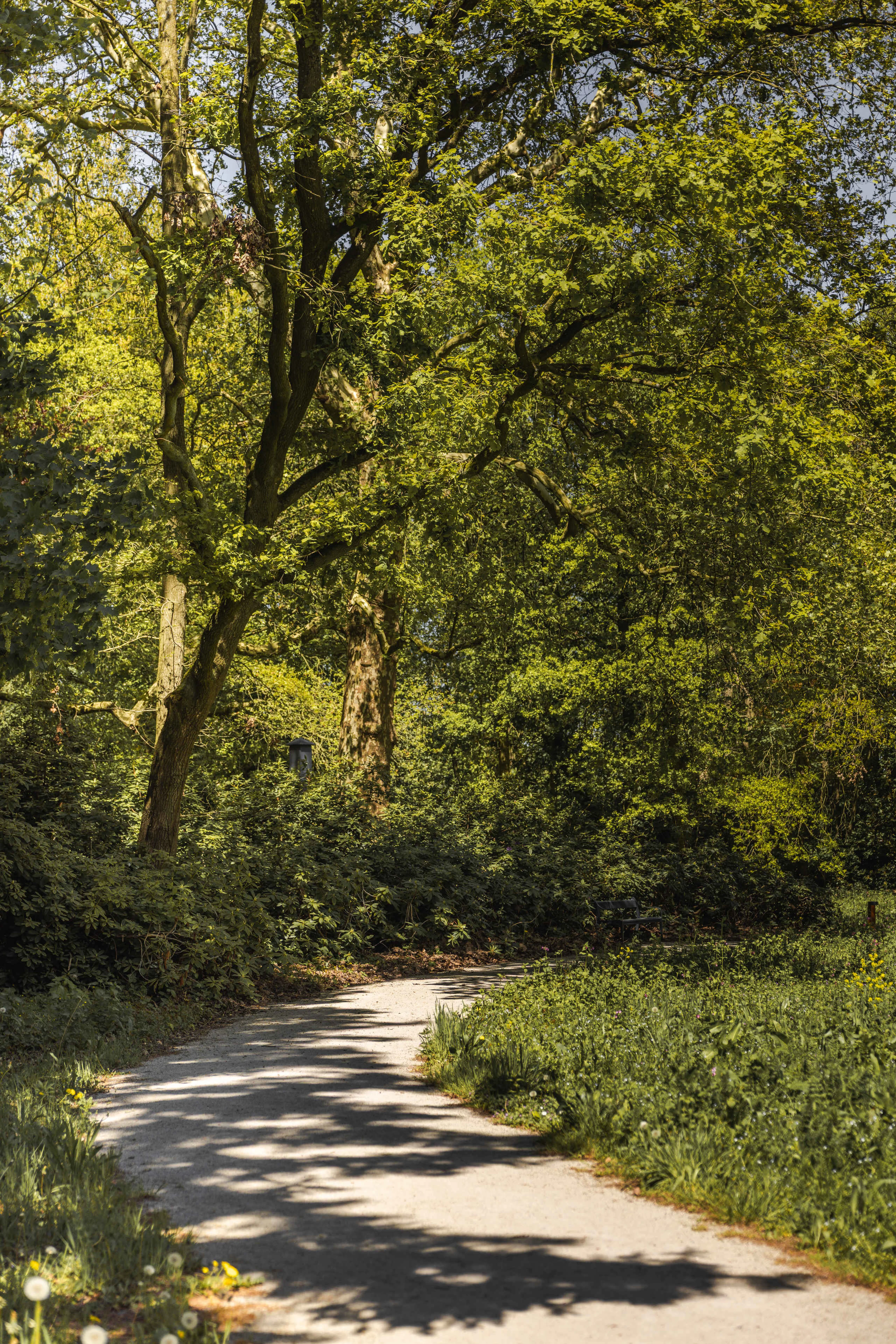 Natuur omgeving tuin van Kasteel Steenenburg