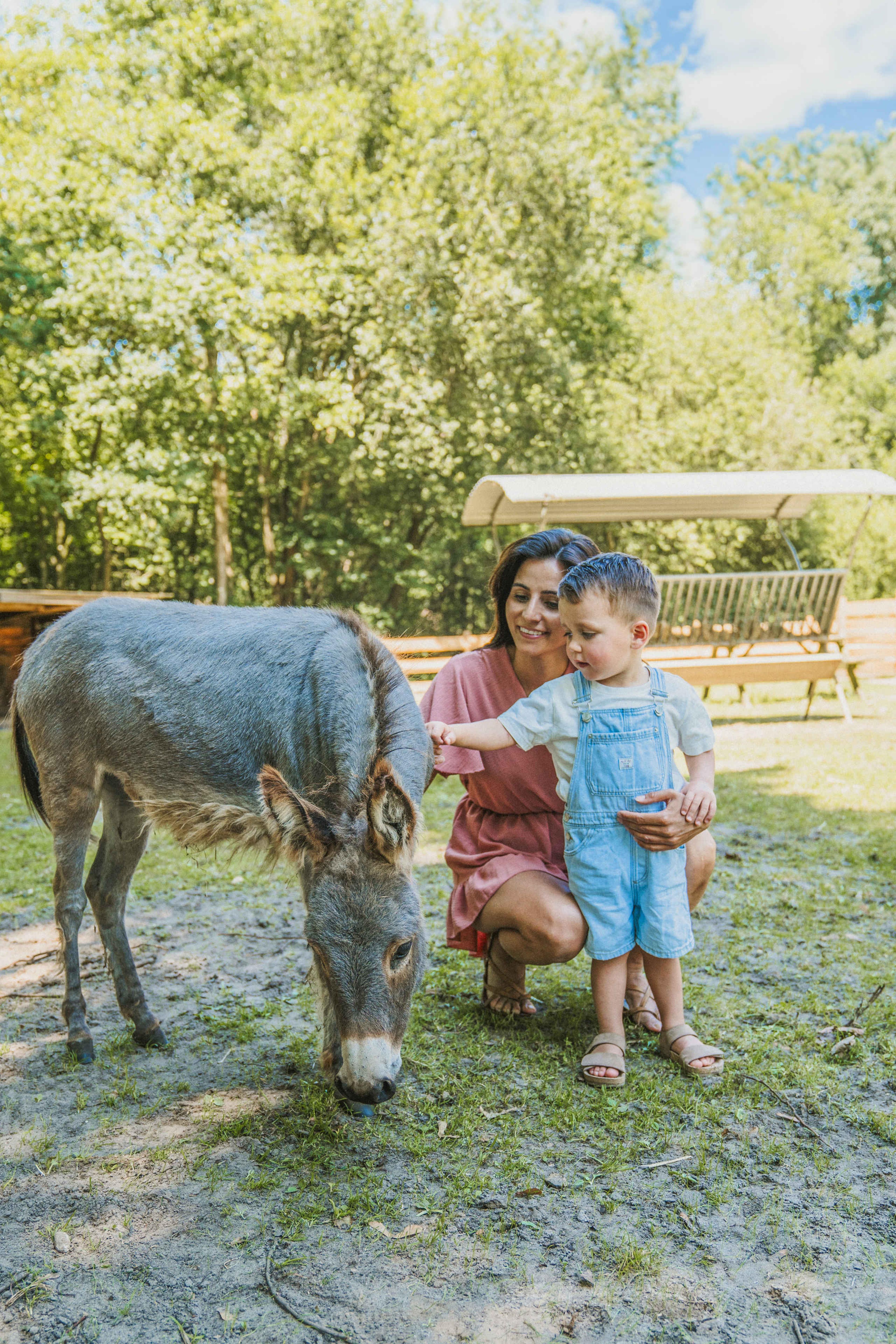 Een vrouw en haar zoon aaien de ezel op de kinderboerderij bij Vakantiepark Dierenbos