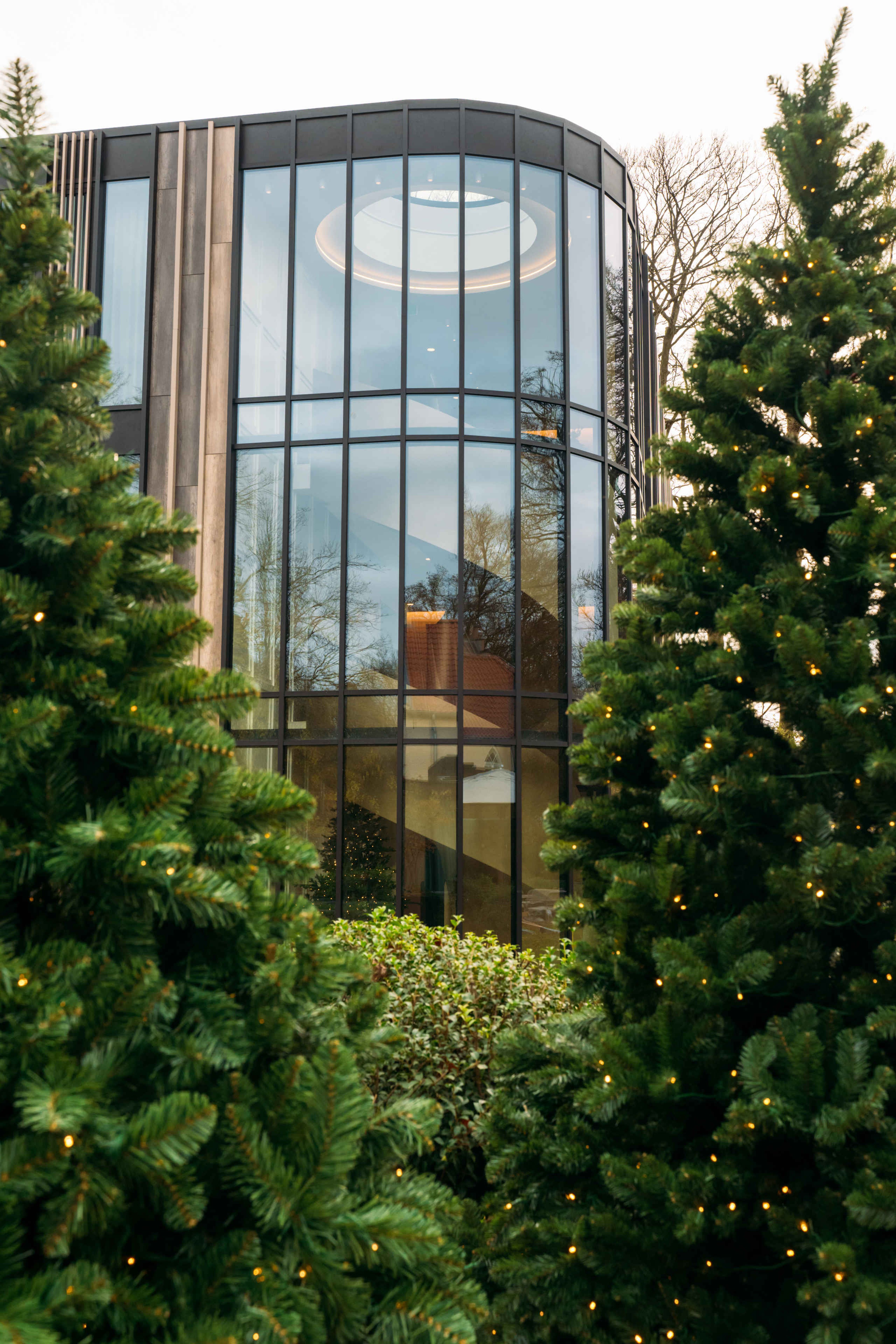 Kerstbomen buiten bij het hotel in Kasteel Steenenburg