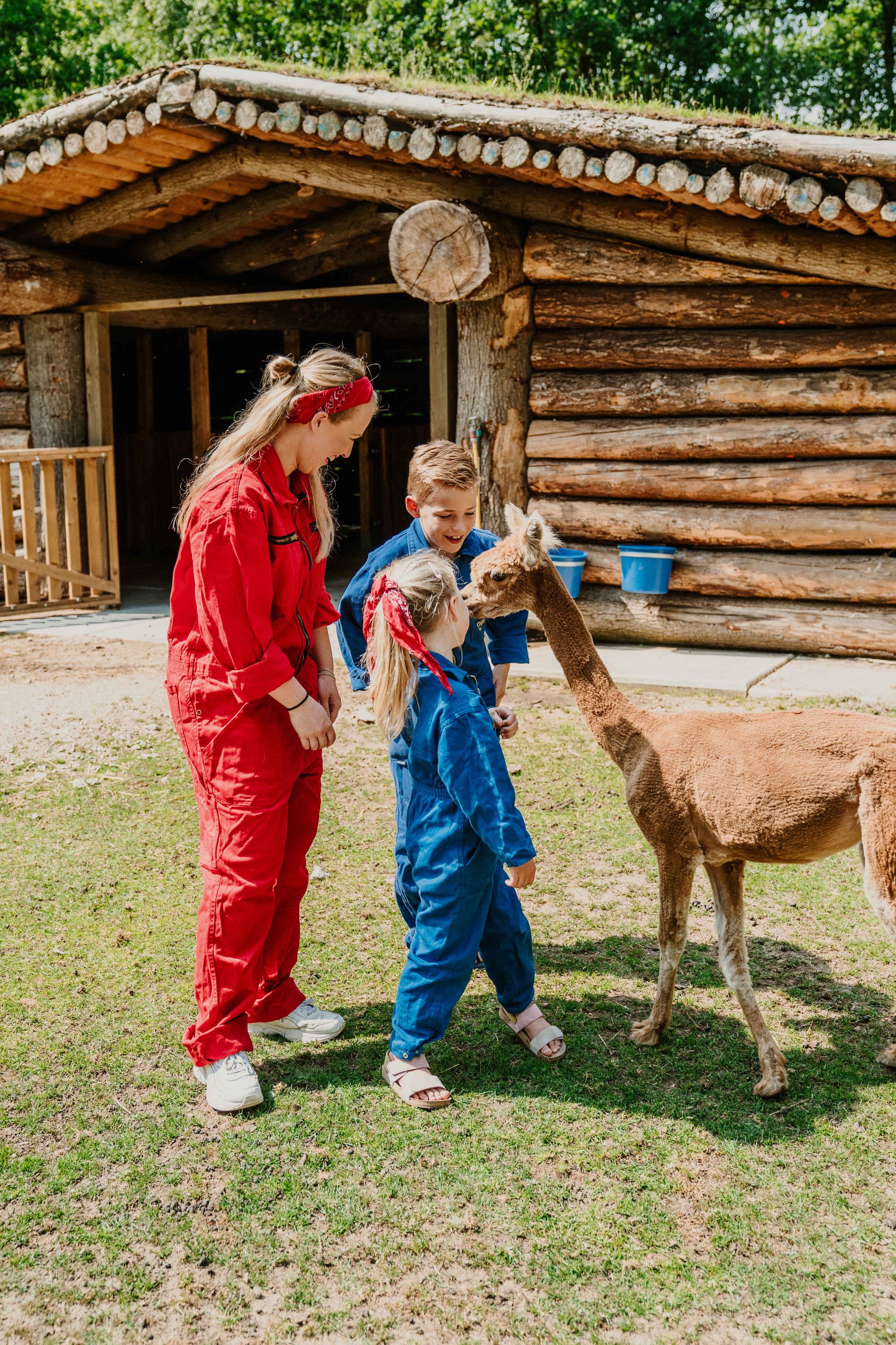 Een dierenverzorger met twee kinderen bij een alpaca op de kinderboerderij bij Vakantiepark Dierenbos.