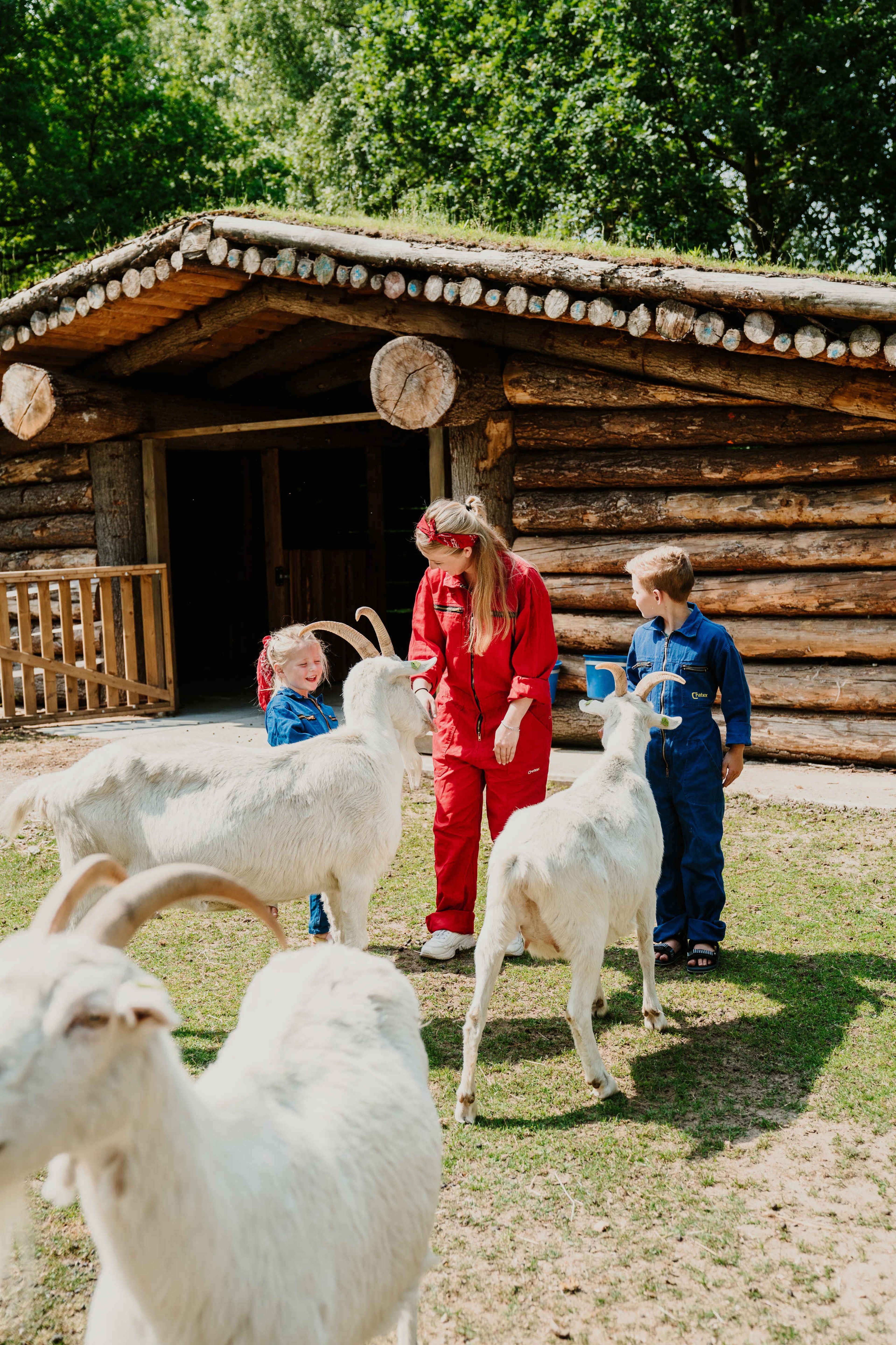 Een dierenverzorger en twee kinderen kijken bij de witte melkgeiten bij Vakantiepark Dierenbos.