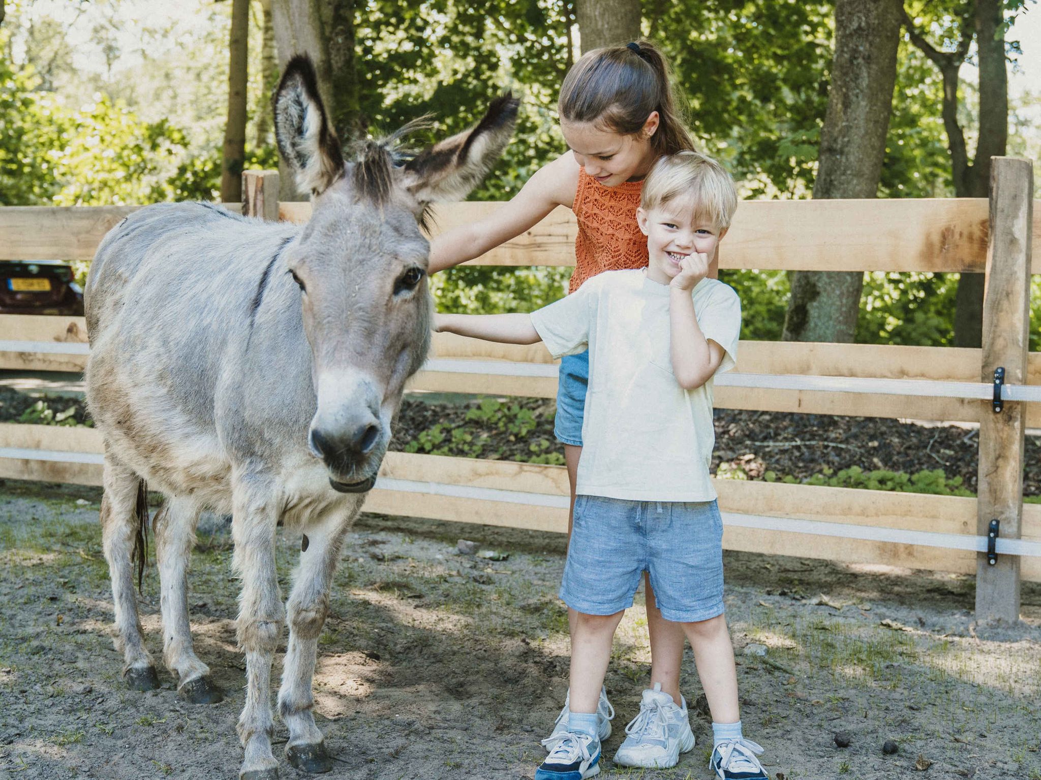 Een jongen en meisje aaien een ezel op de kinderboerderij bij Vakantiepark Dierenbos