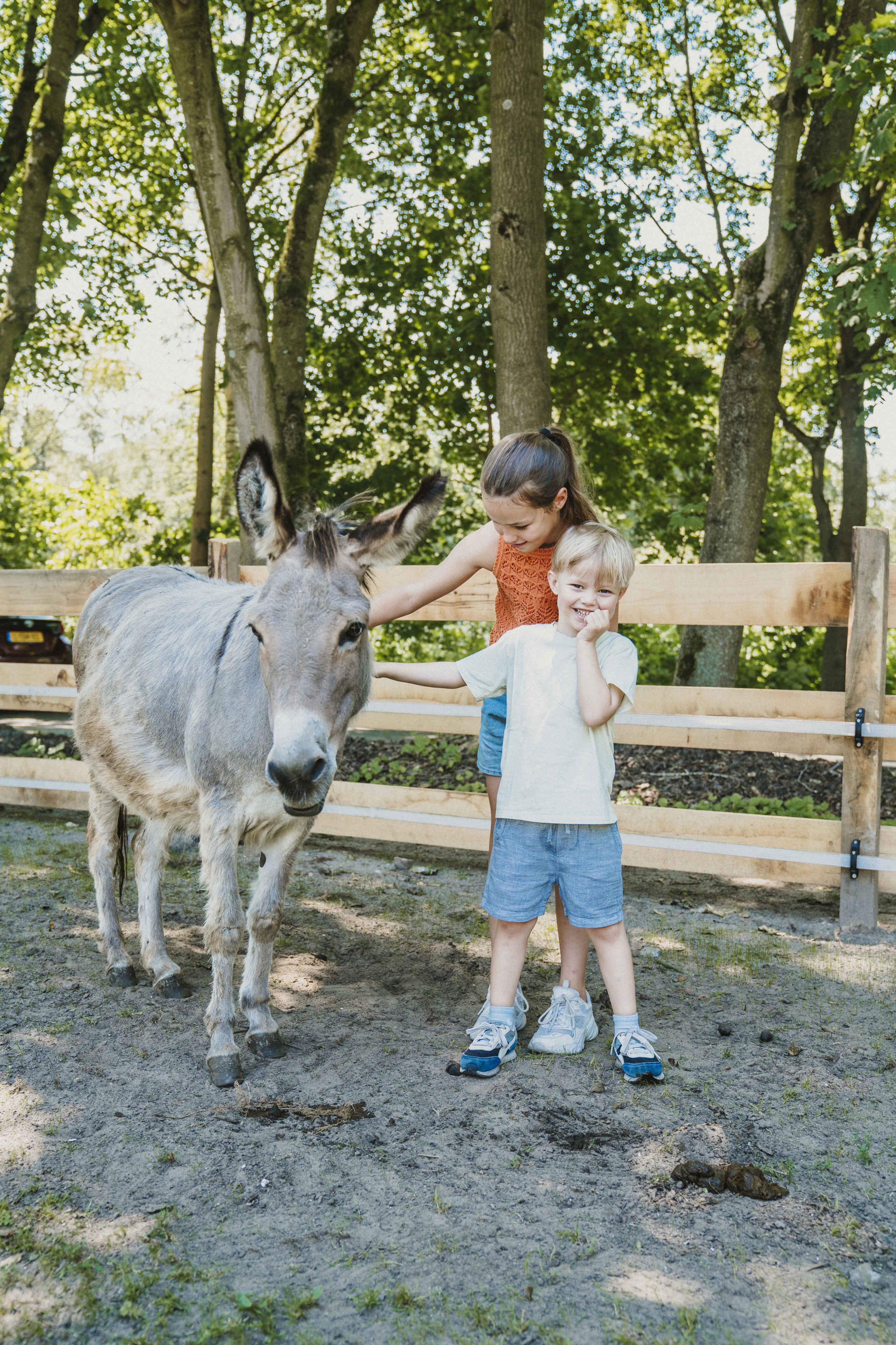 Een jongen en meisje aaien een ezel op de kinderboerderij bij Vakantiepark Dierenbos