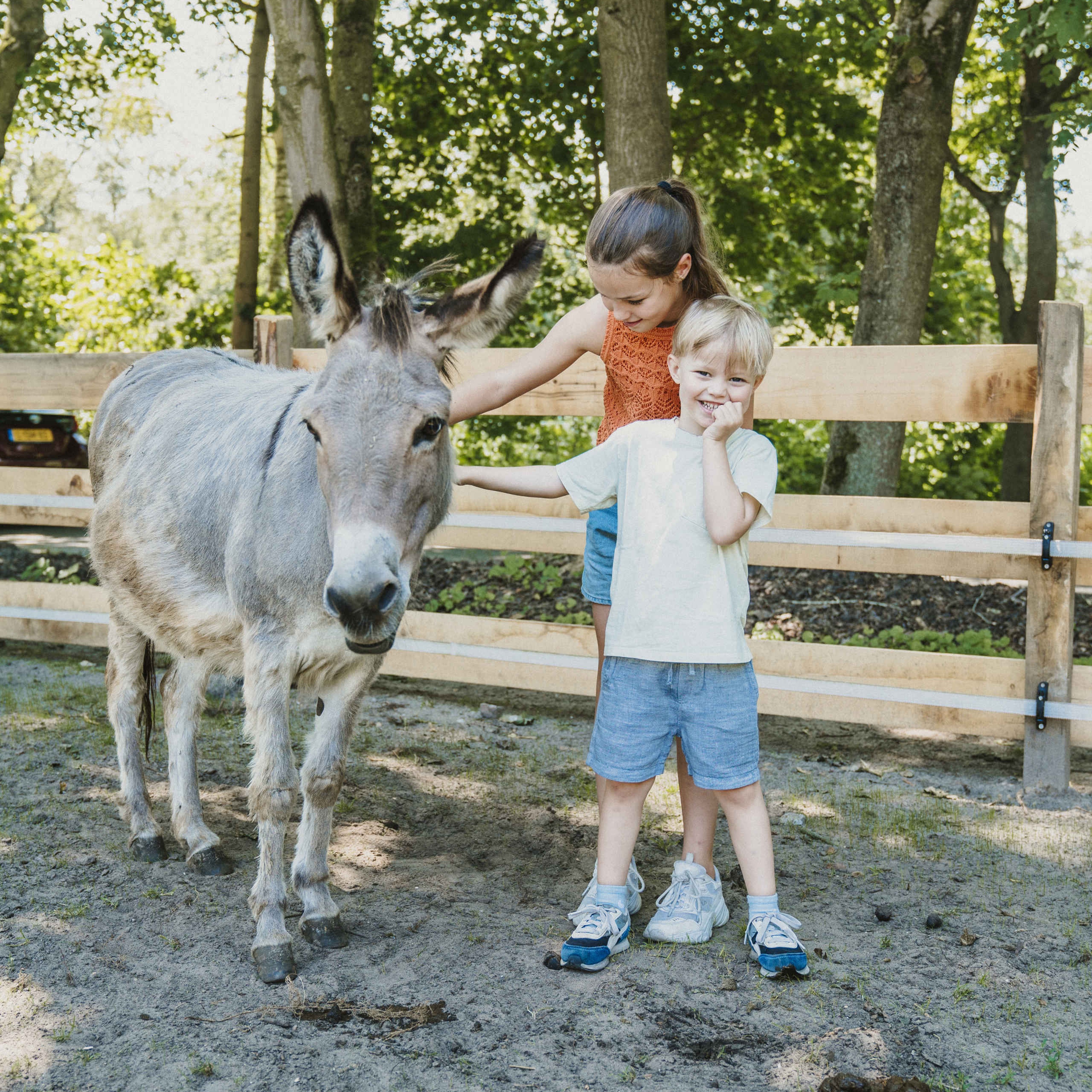 Een jongen en meisje aaien een ezel op de kinderboerderij bij Vakantiepark Dierenbos