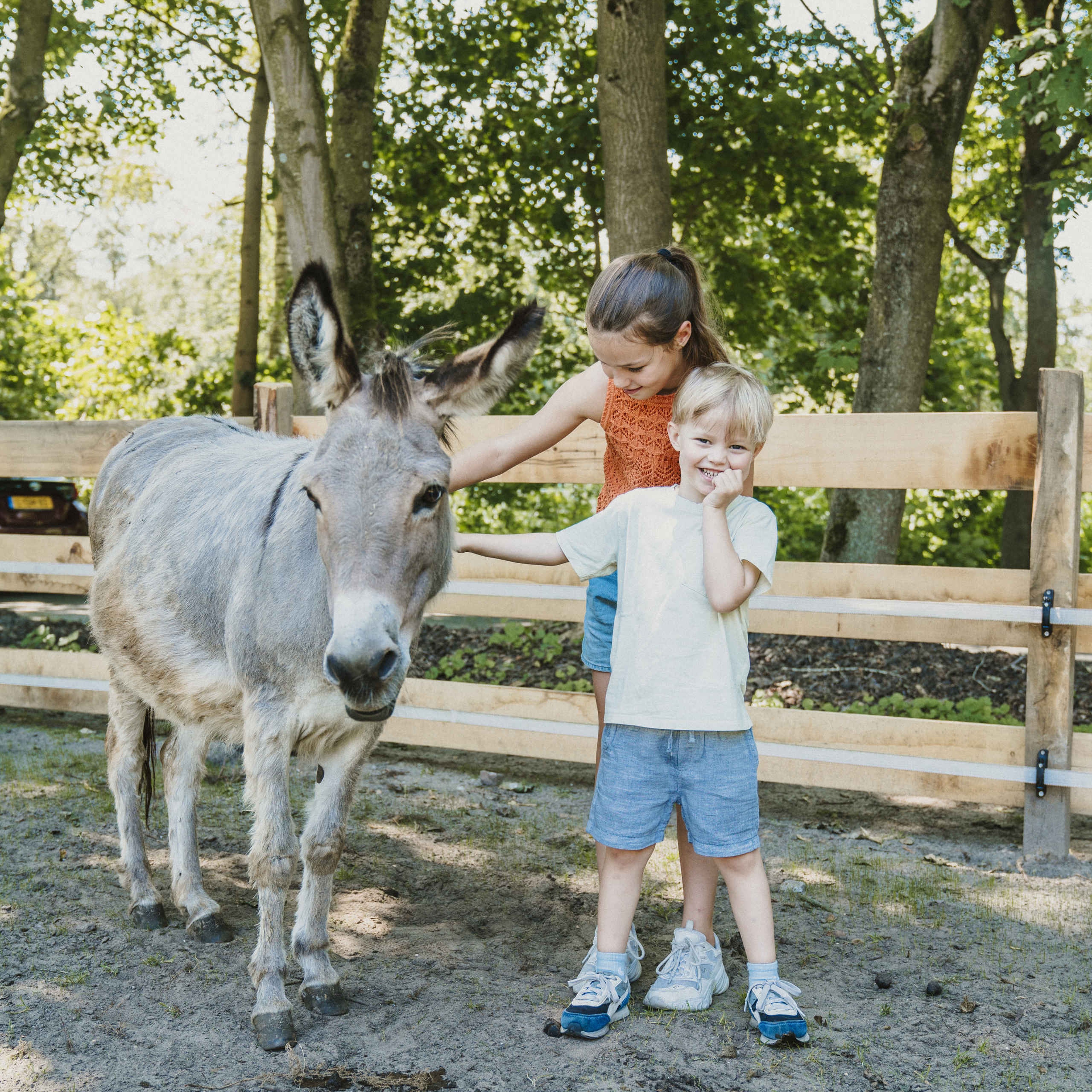 Een jongen en meisje aaien een ezel op de kinderboerderij bij Vakantiepark Dierenbos