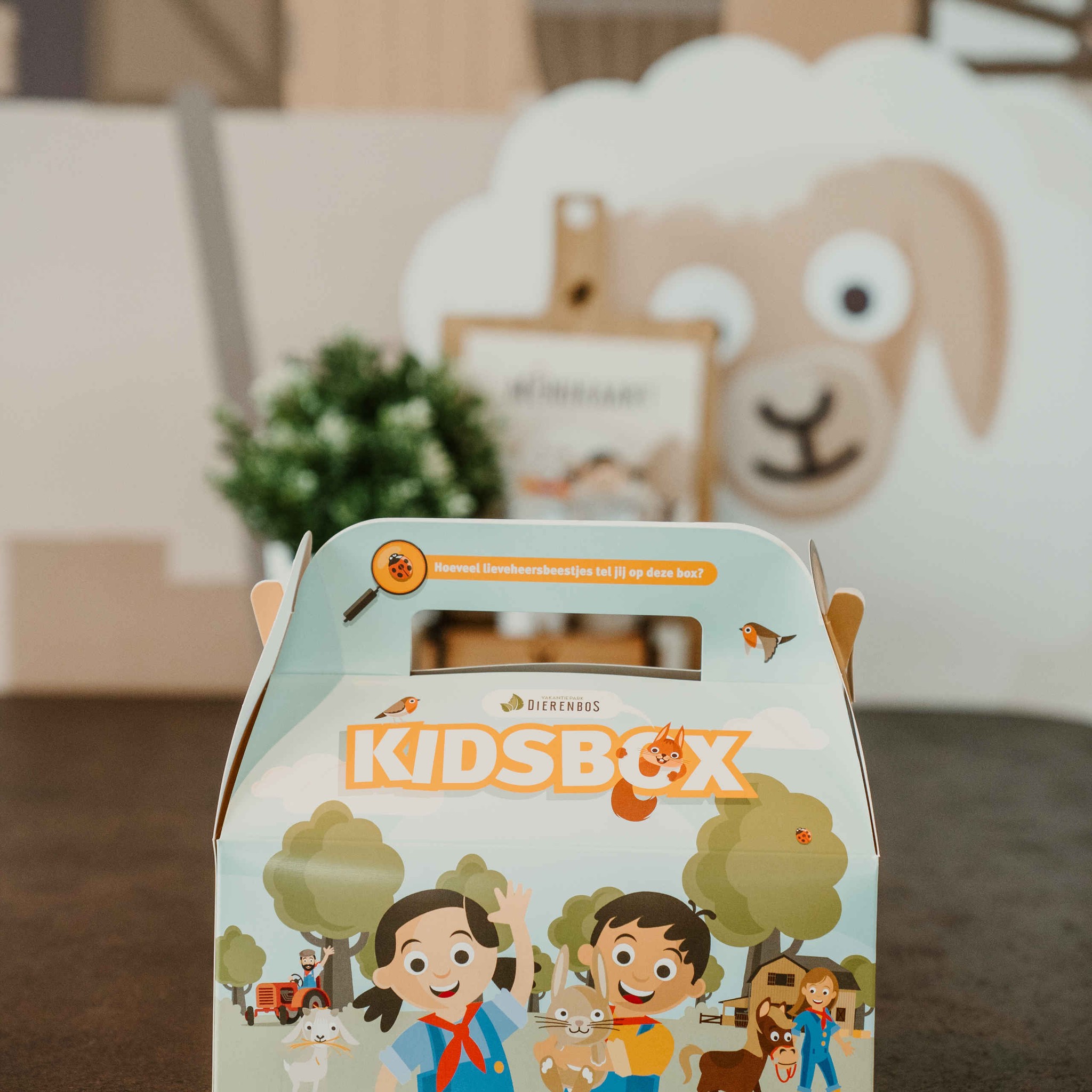 De Dierenbos Kids Box bij Vakantiepark Dierenbos.