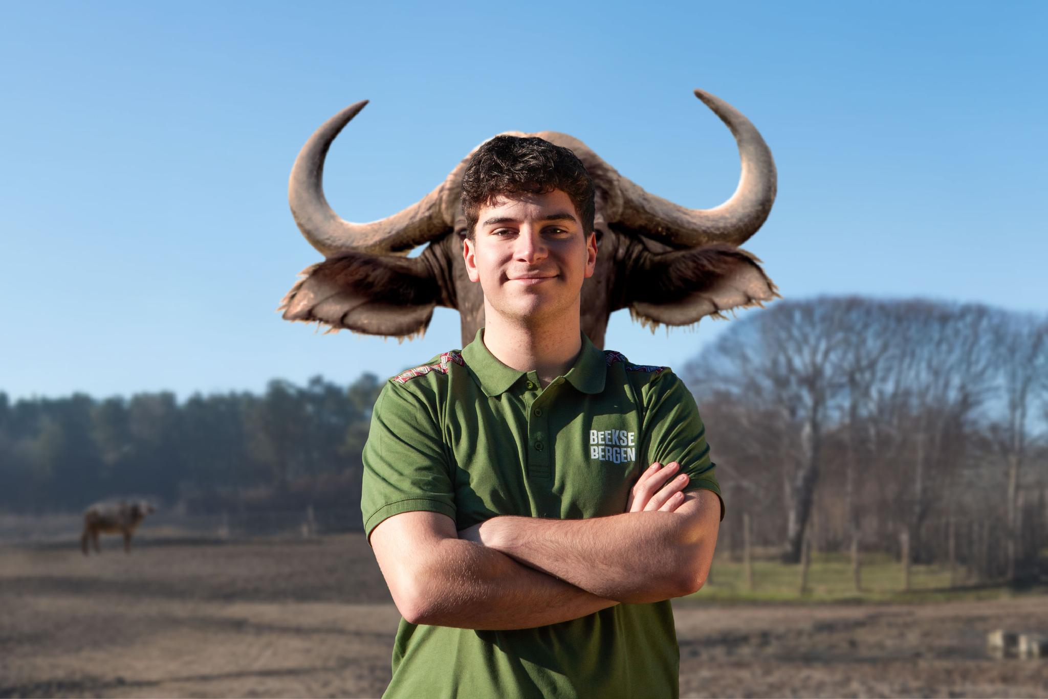 Attractiemedewerker bij Beekse Bergen en buffel