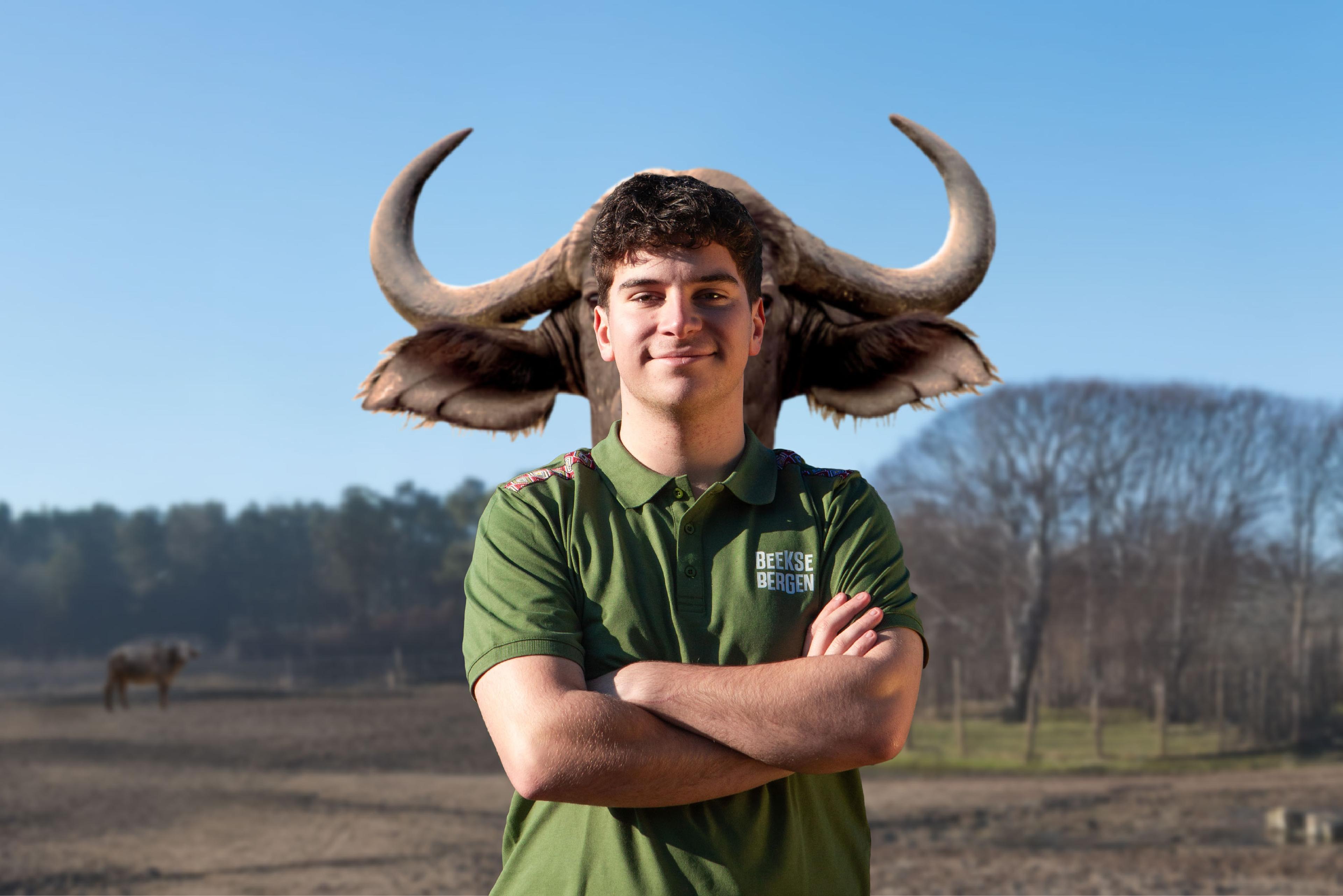 Attractiemedewerker bij Beekse Bergen en buffel